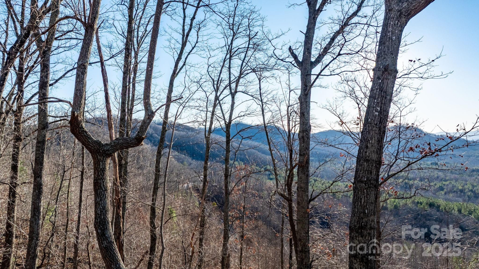 183 Woodgate Trail #103 - Photo 20