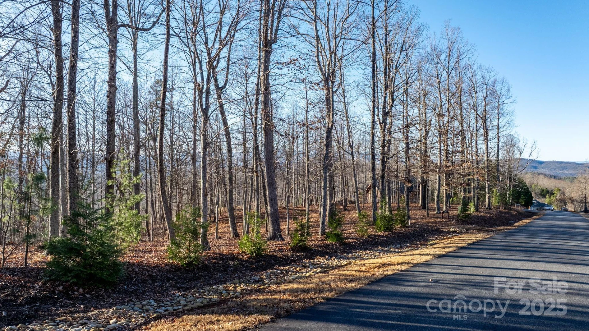 183 Woodgate Trail #103 - Photo 3