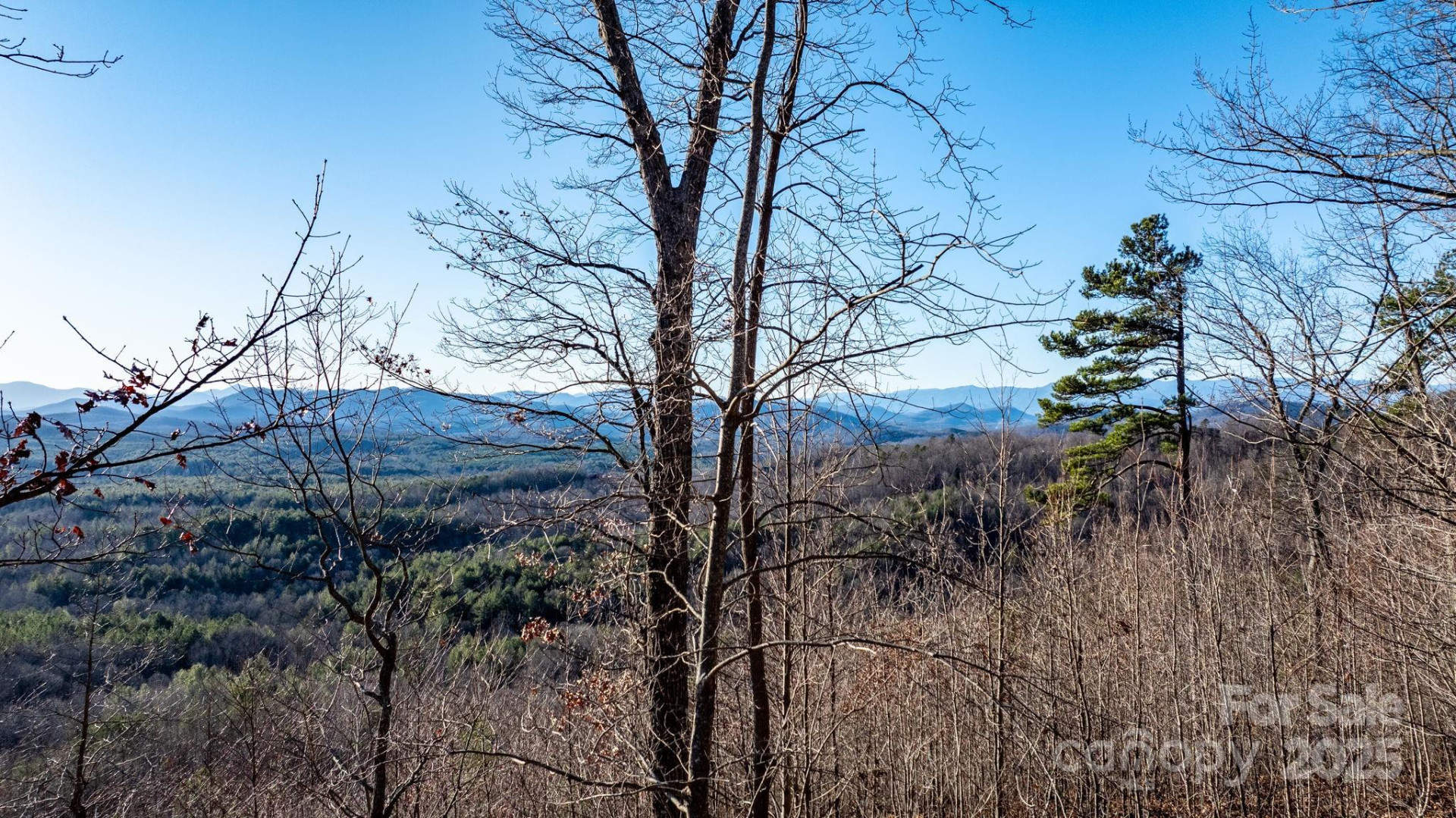 183 Woodgate Trail #103 - Photo 21