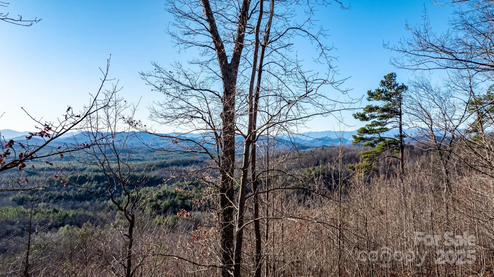 183 Woodgate Trail #103 - Photo 21
