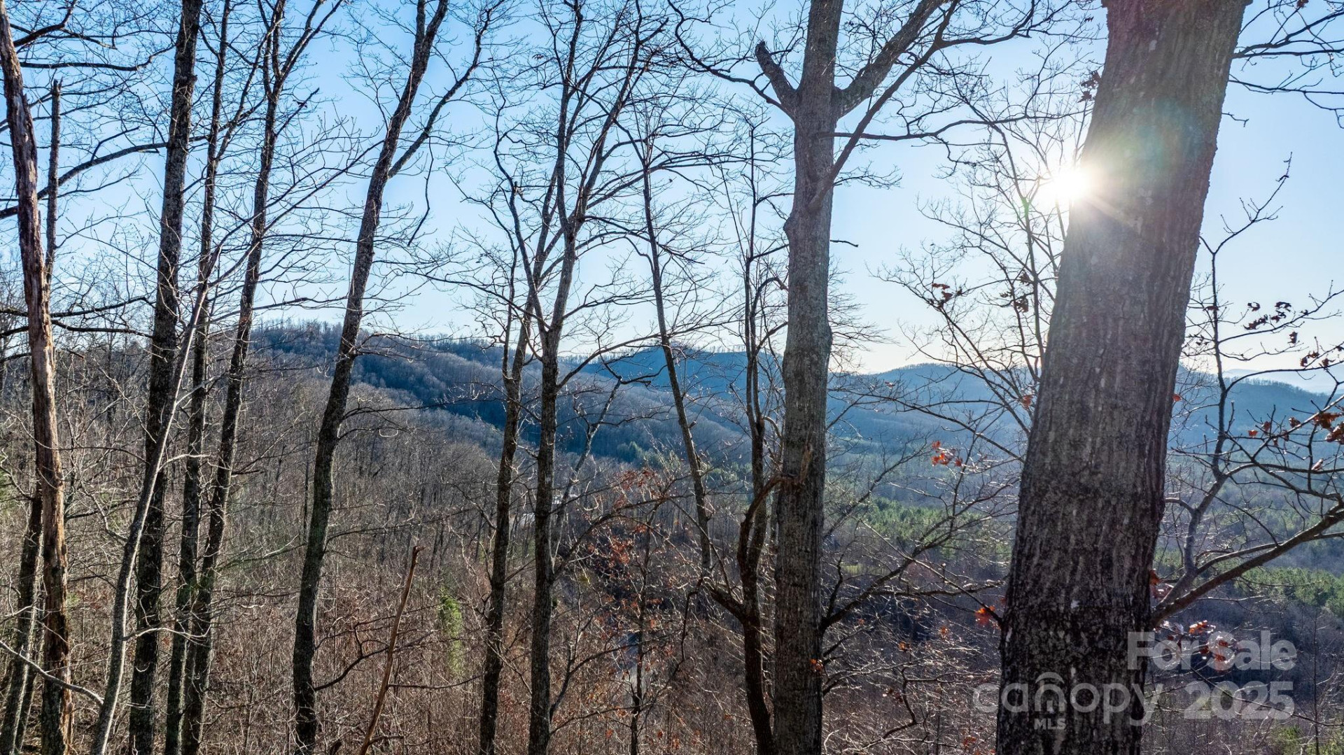 183 Woodgate Trail #103 - Photo 22