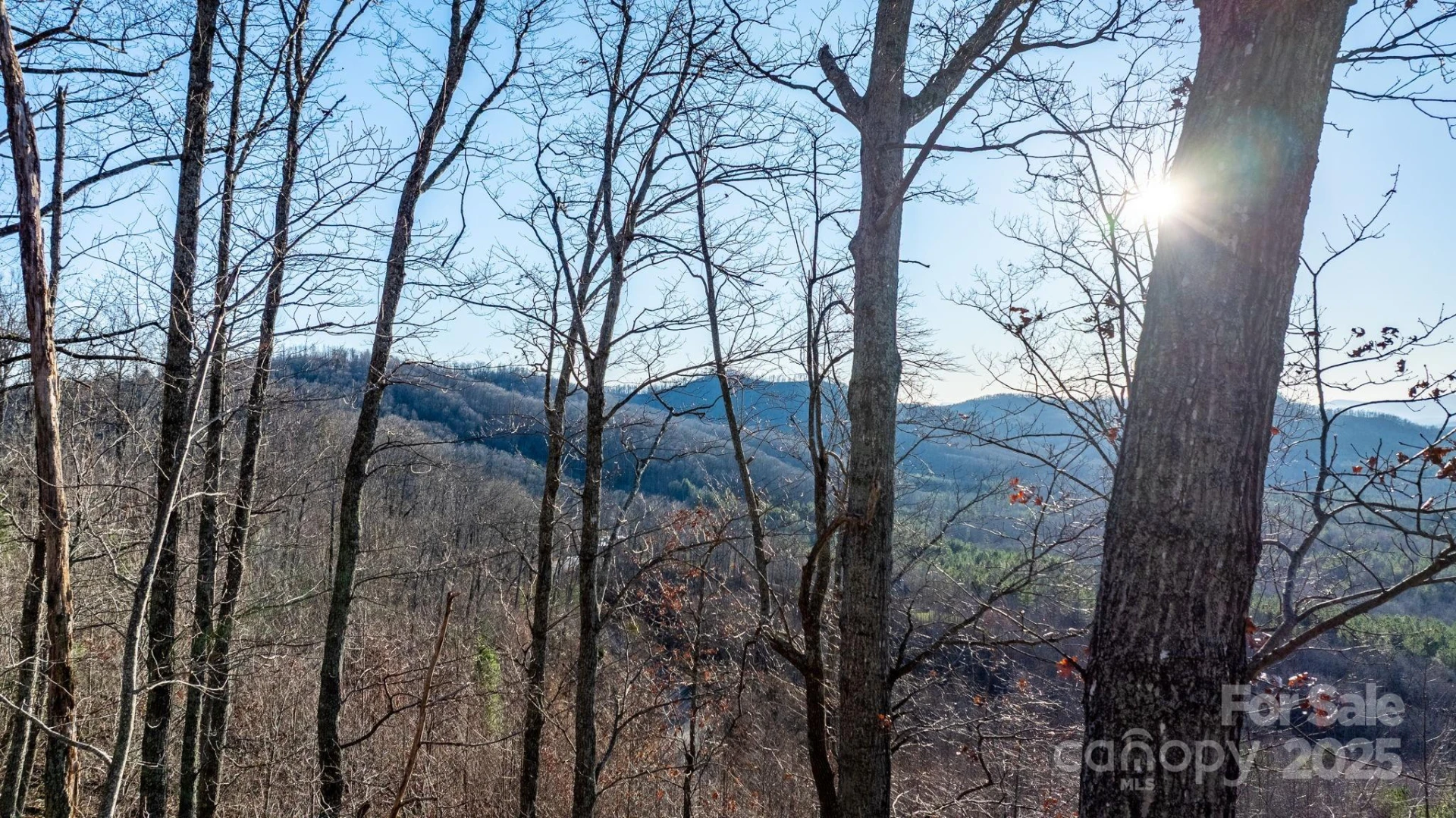 183 Woodgate Trail #103 - Photo 22