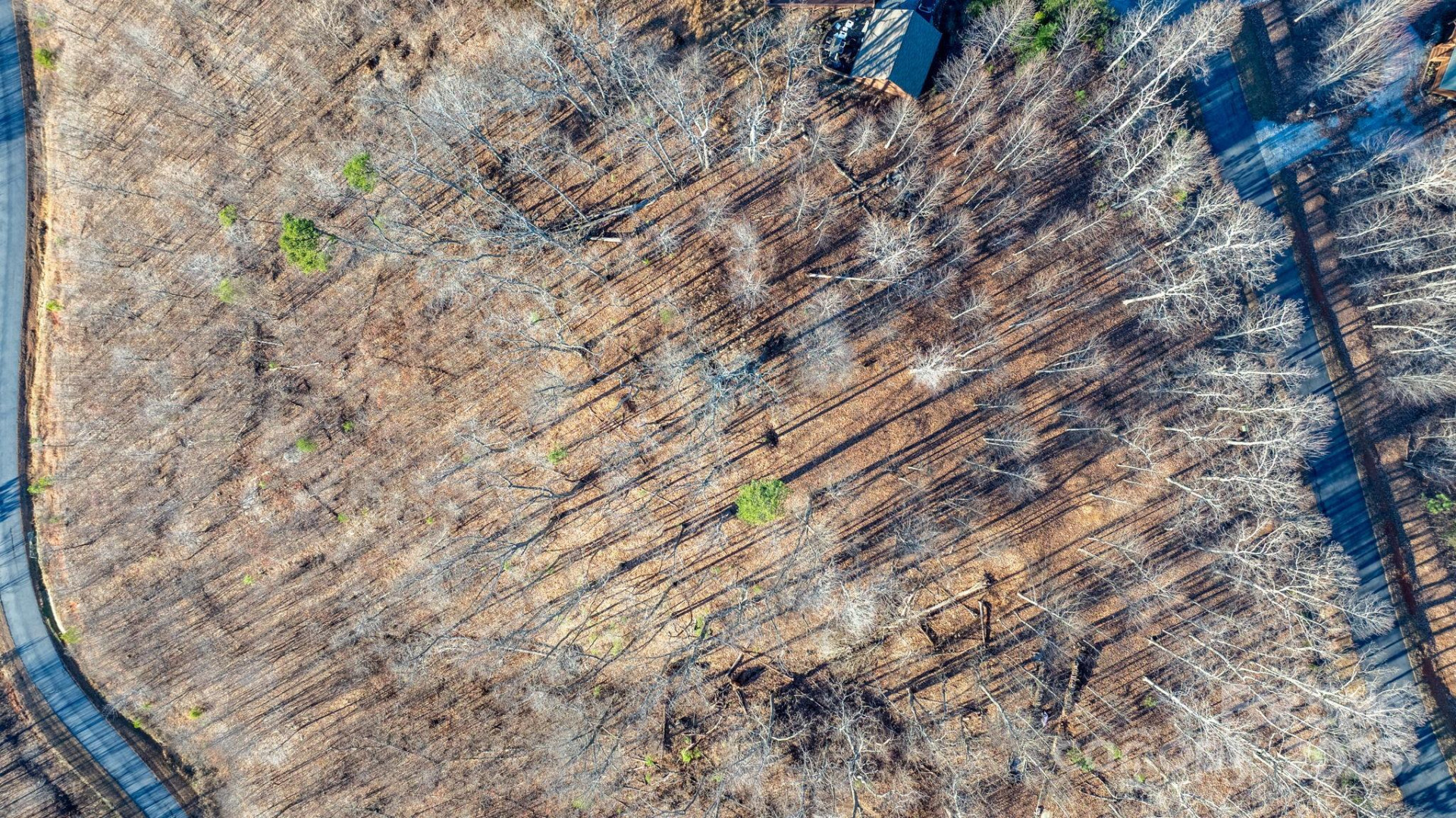 183 Woodgate Trail #103 - Photo 30