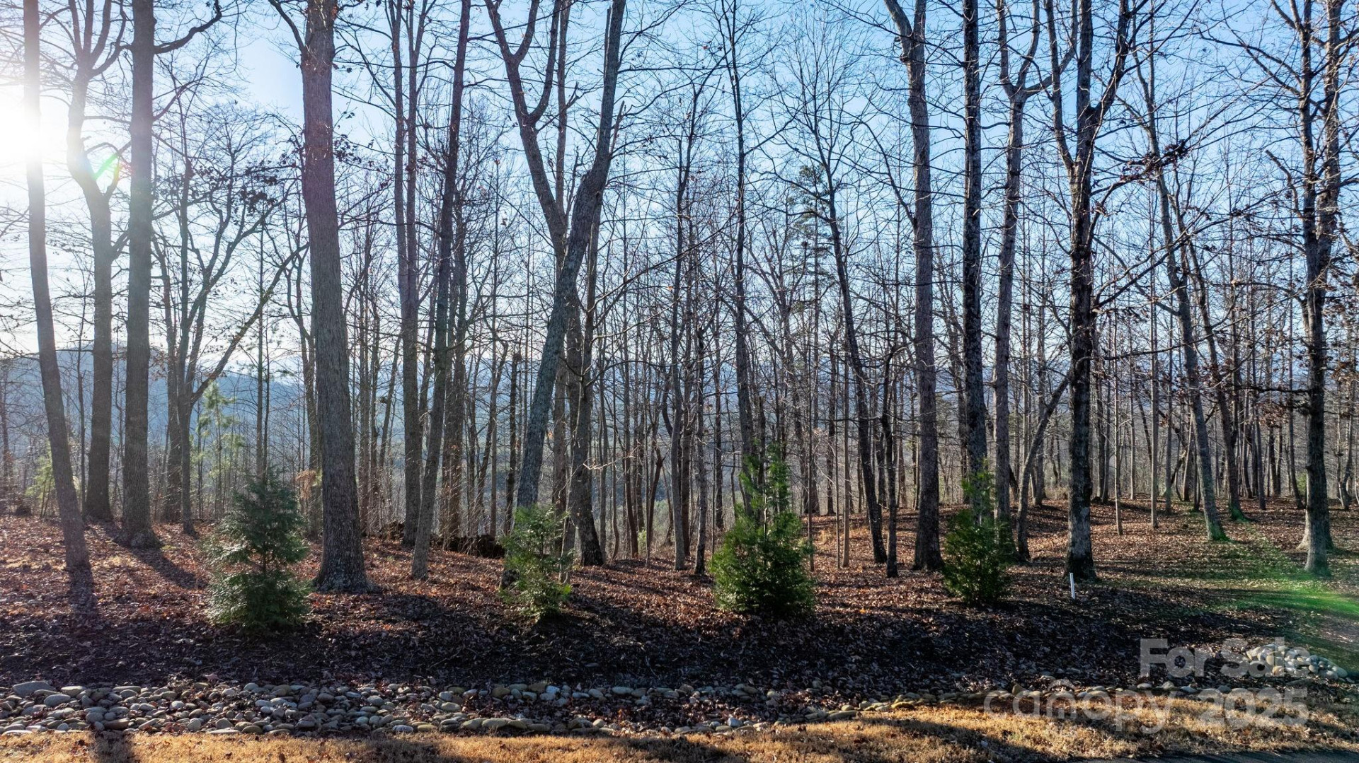 183 Woodgate Trail #103 - Photo 4