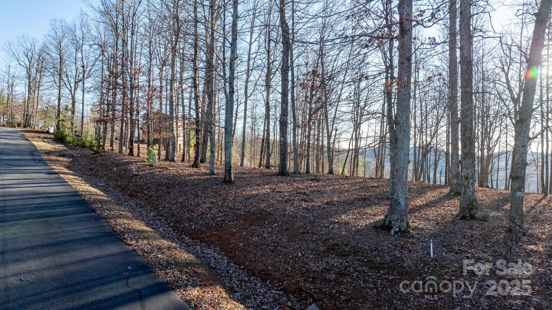 183 Woodgate Trail #103 - Photo 5