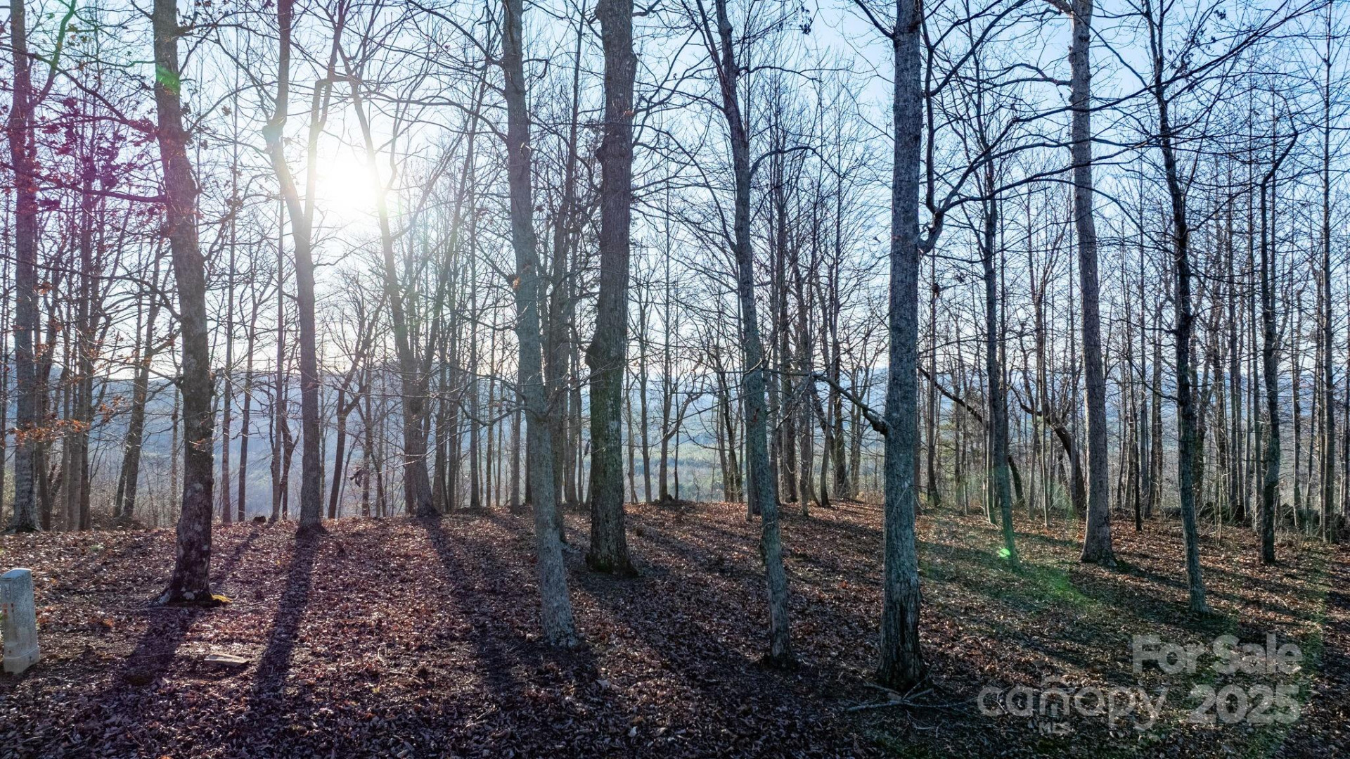 183 Woodgate Trail #103 - Photo 6