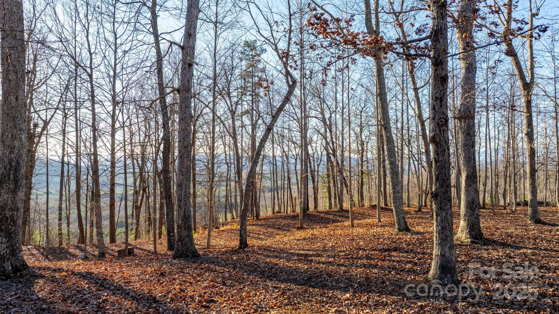 183 Woodgate Trail #103 - Photo 7