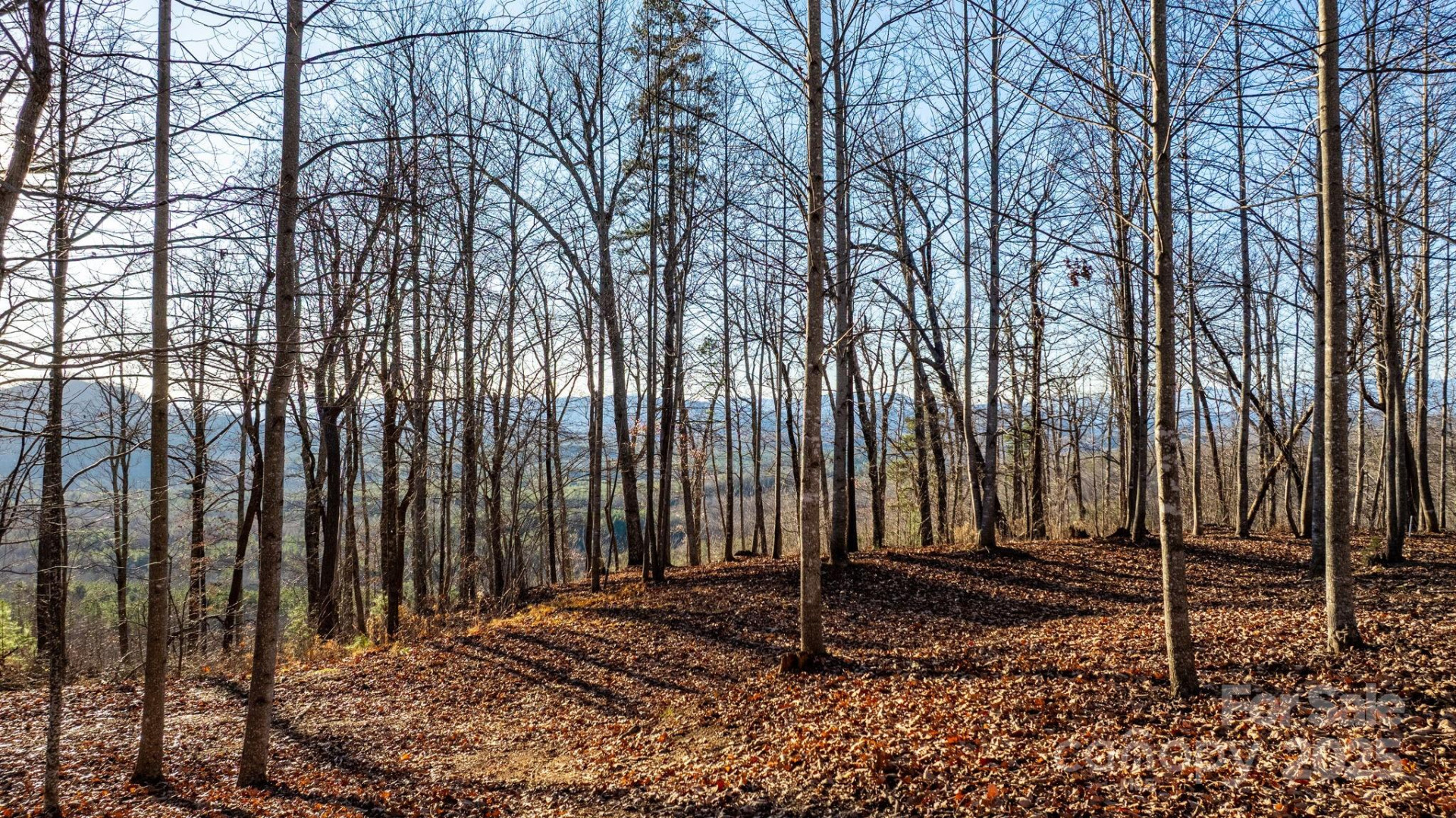 183 Woodgate Trail #103 - Photo 8