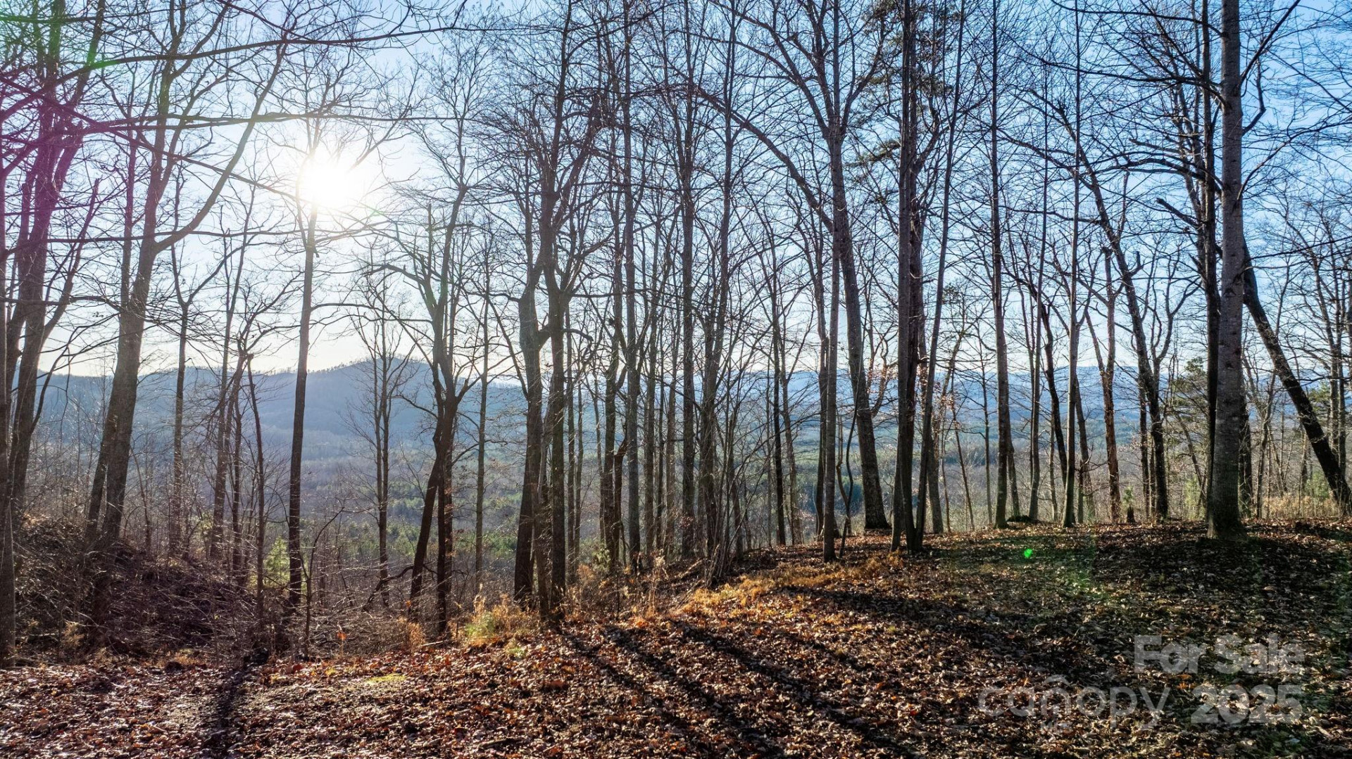 183 Woodgate Trail #103 - Photo 9