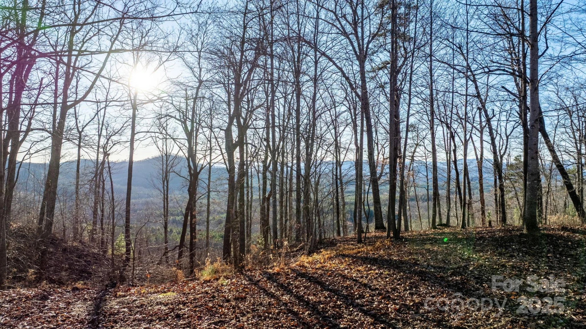 183 Woodgate Trail #103 - Photo 9