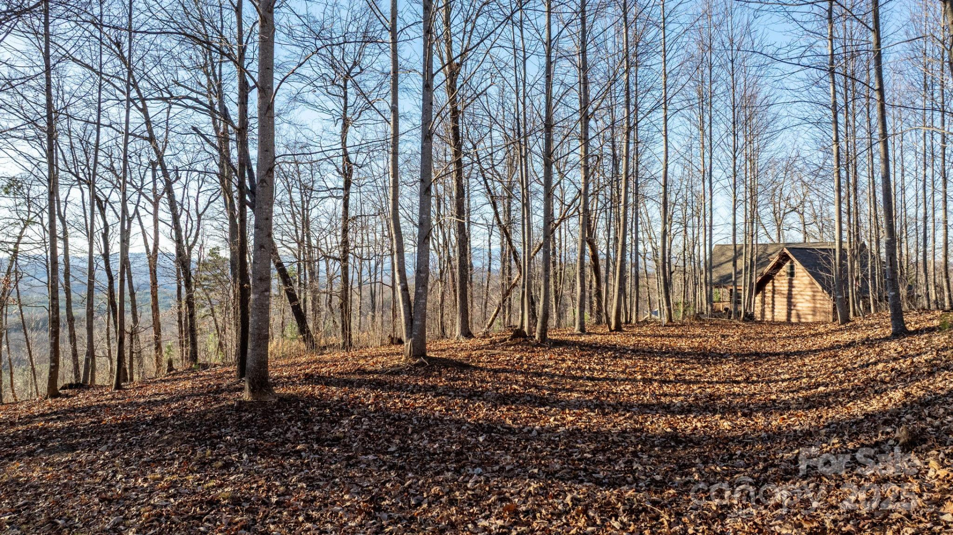 183 Woodgate Trail #103 - Photo 10