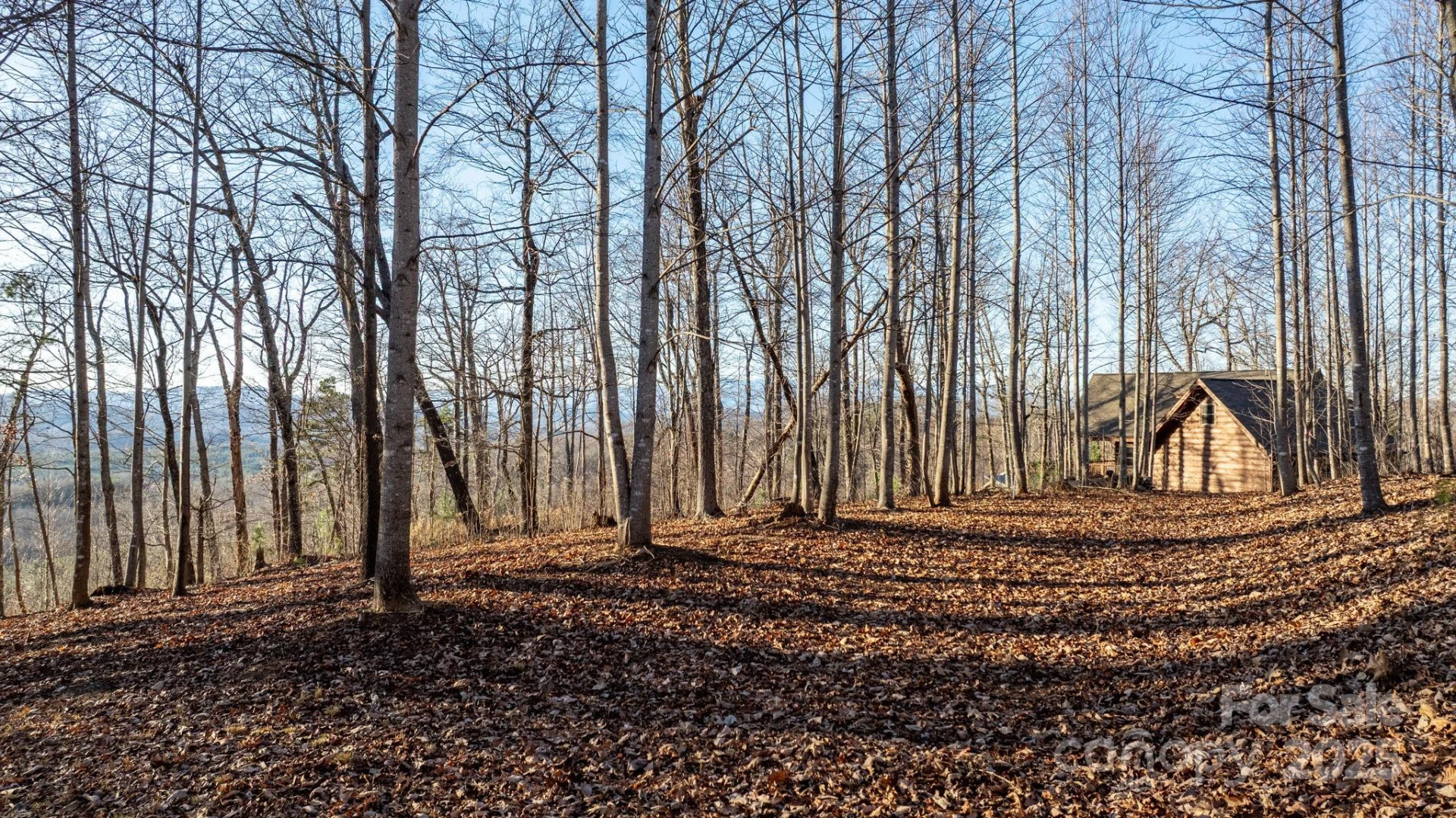 183 Woodgate Trail #103 - Photo 10