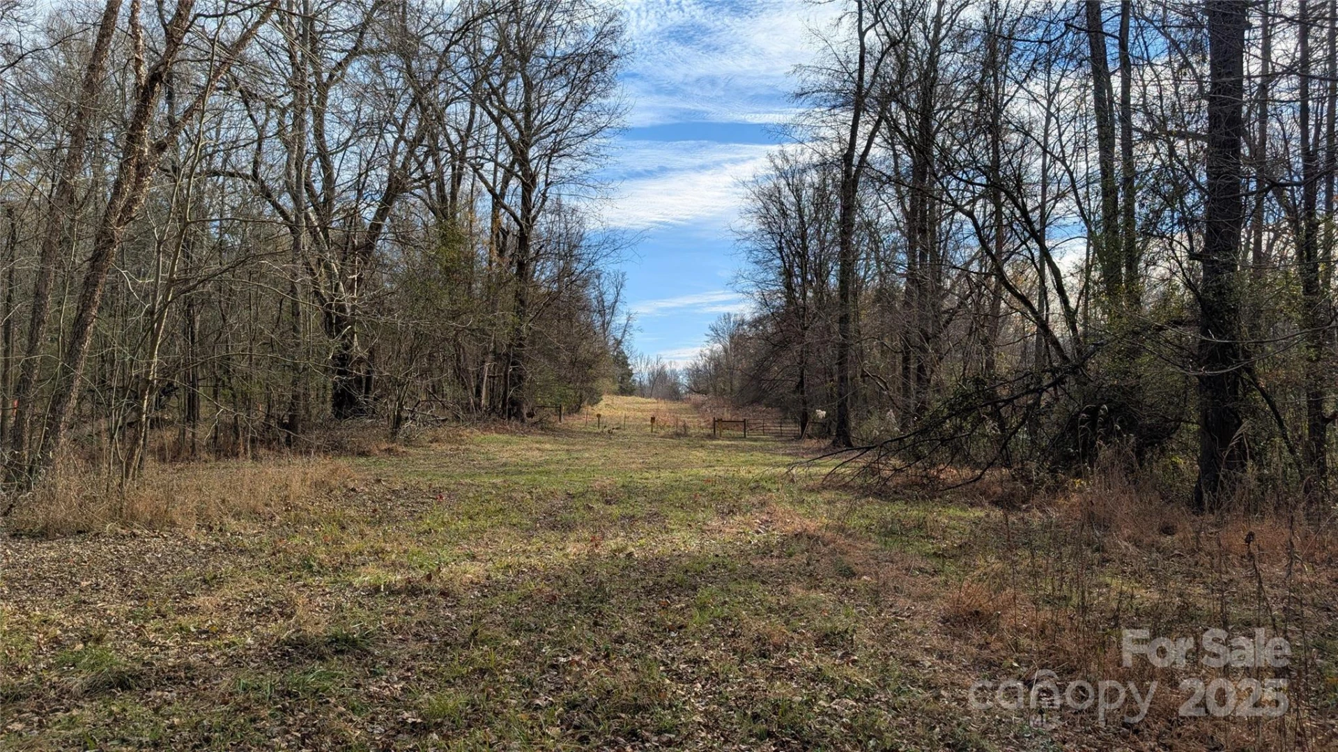 #5 Farrow Drive - Photo 38