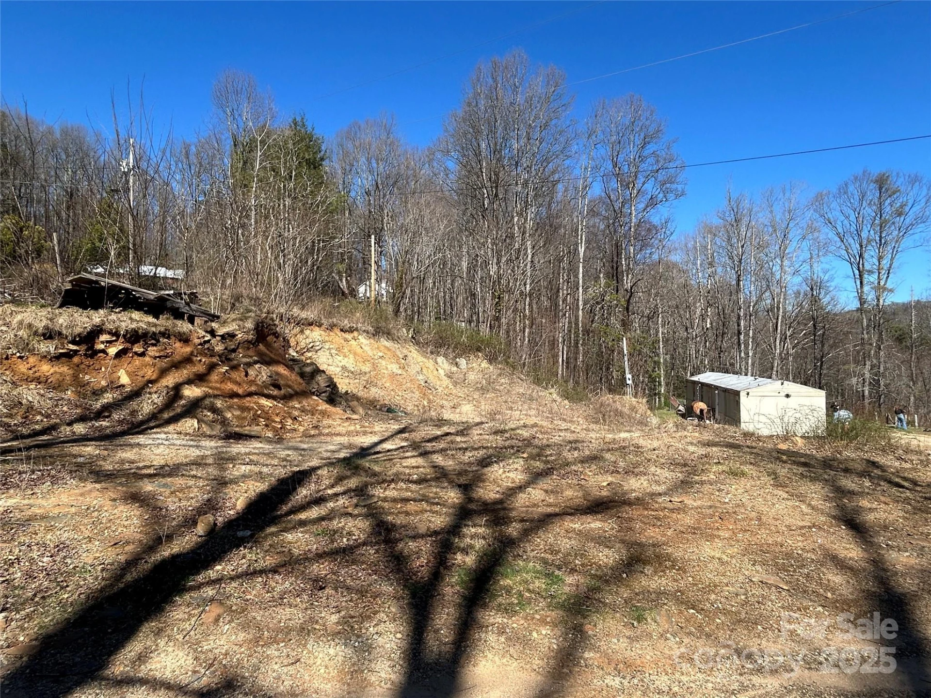 612 Heady Mountain Rd Road - Photo 3