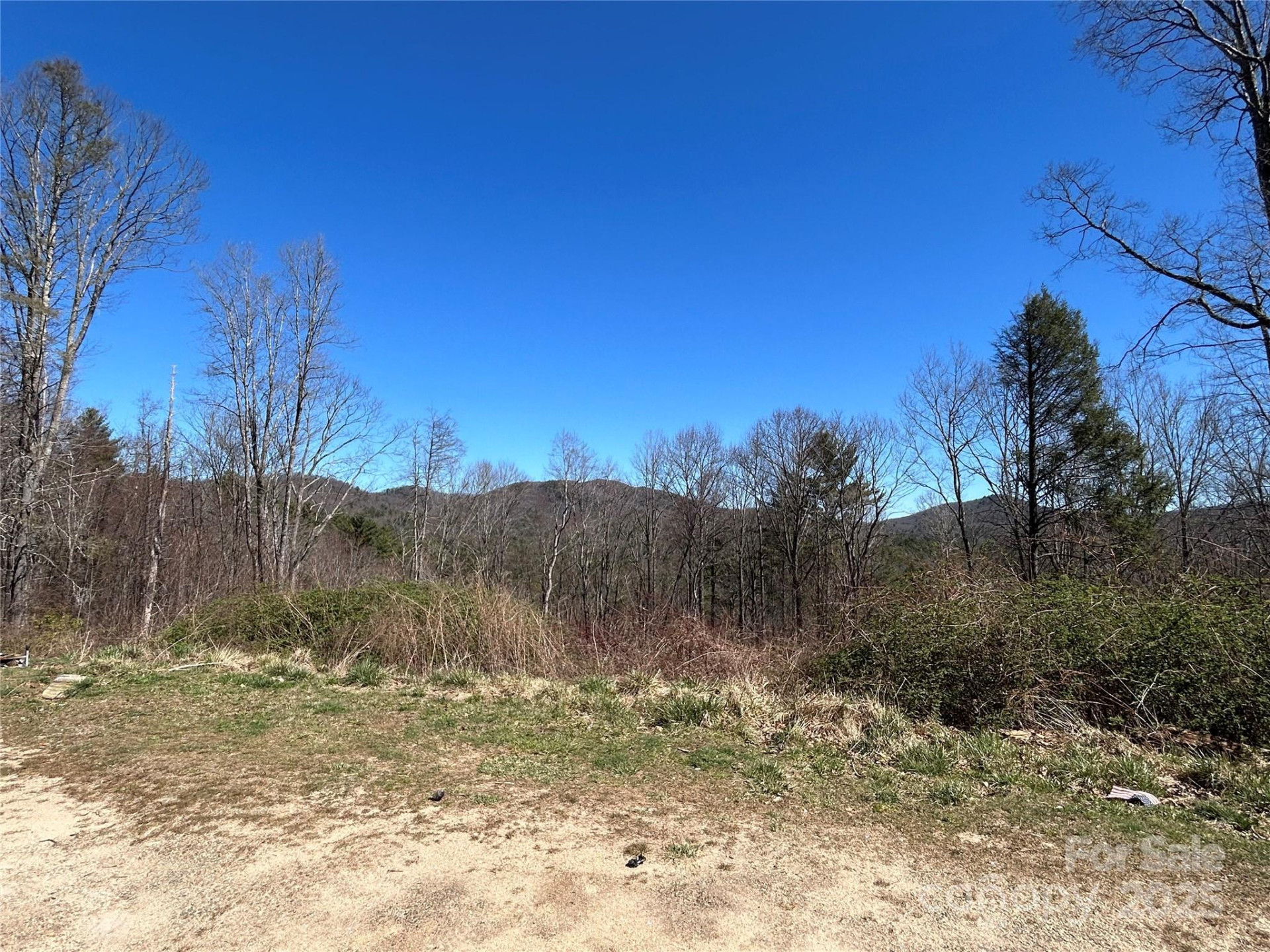 612 Heady Mountain Rd Road - Photo 5