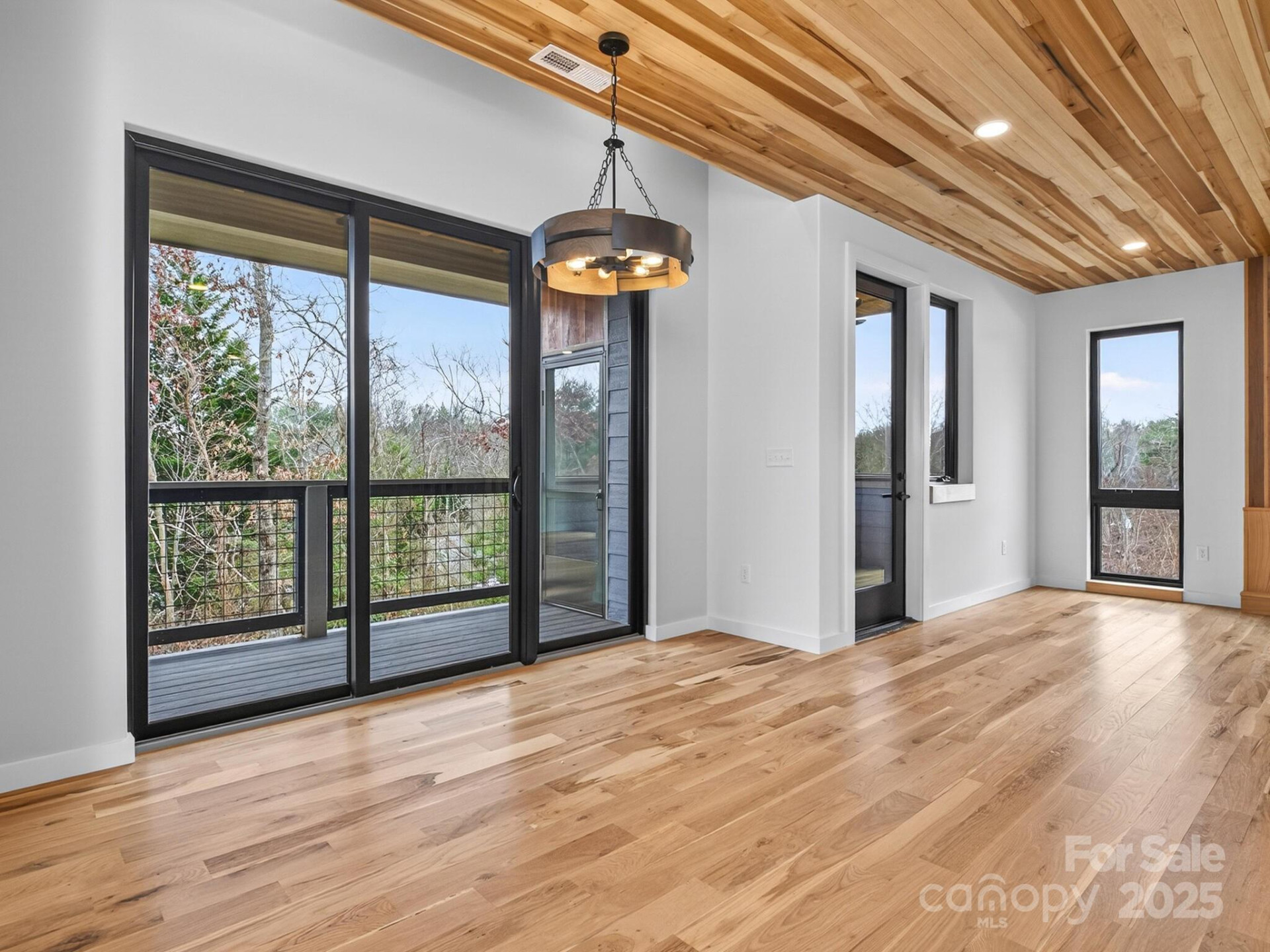 165 Abundance Run #8 - Photo 13