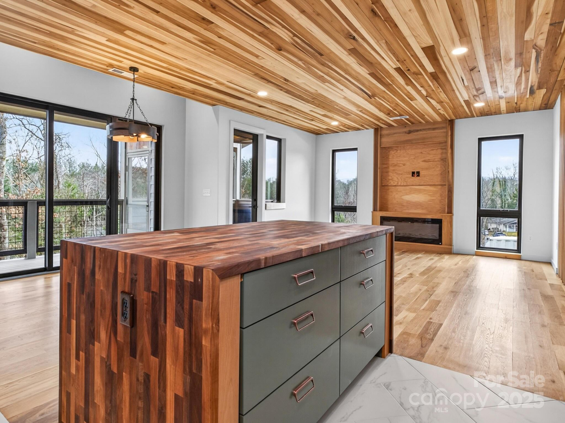 165 Abundance Run #8 - Photo 15