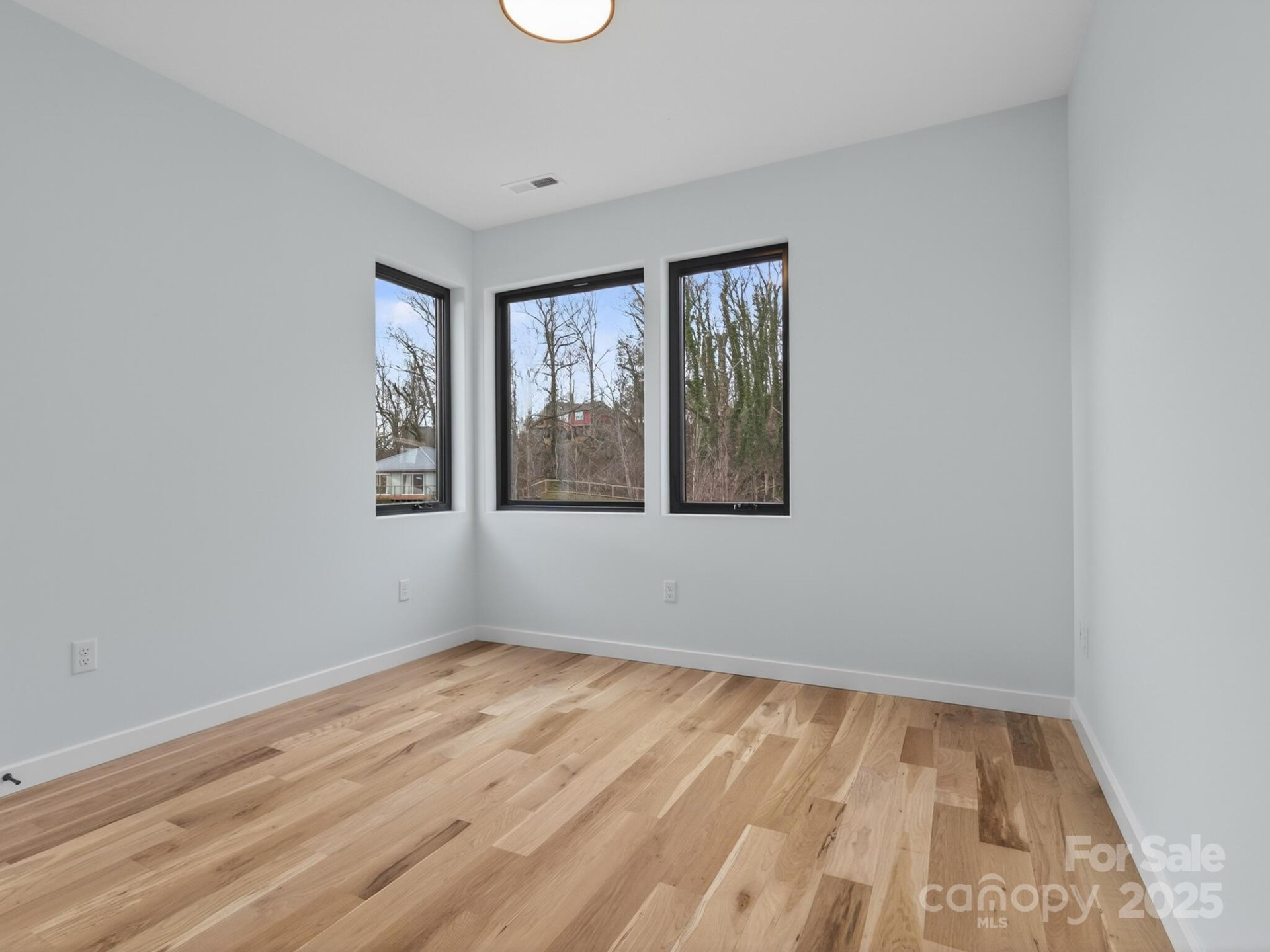 165 Abundance Run #8 - Photo 27