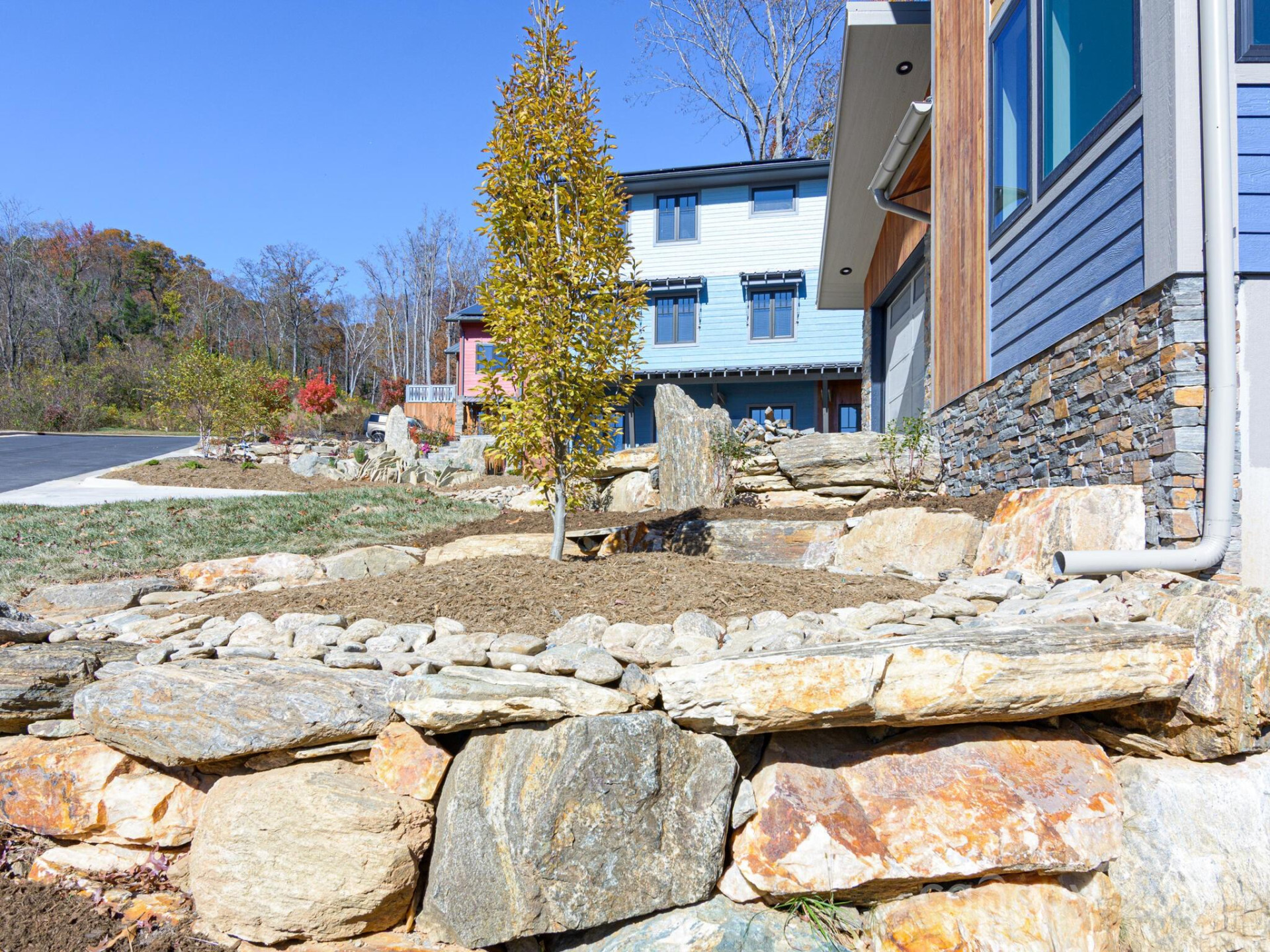 165 Abundance Run #8 - Photo 4