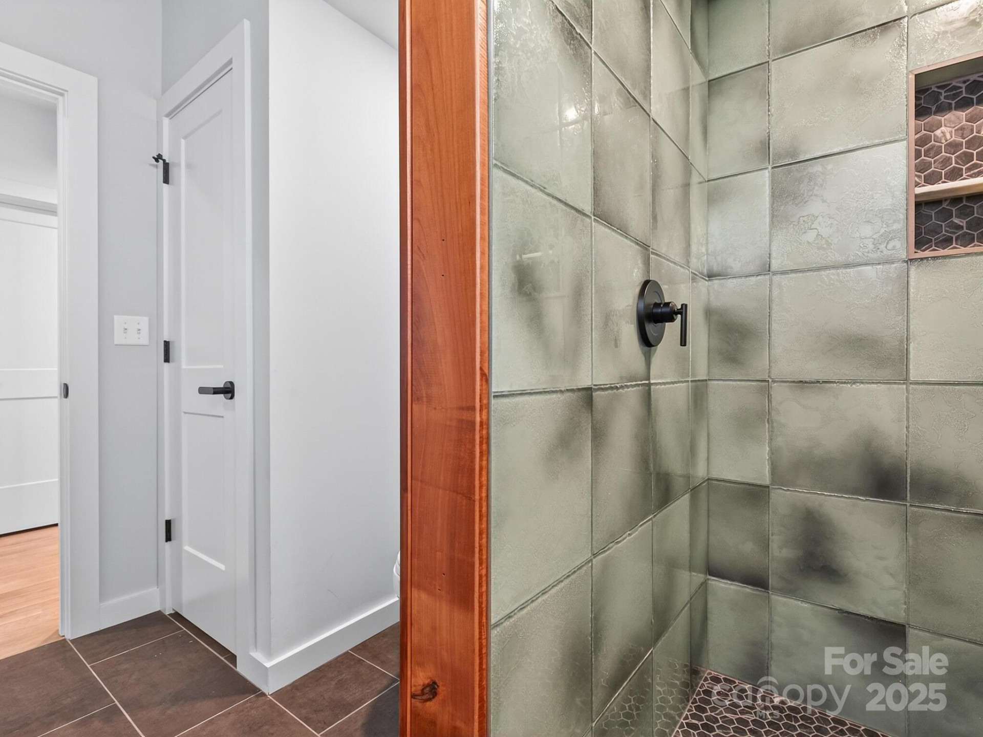 165 Abundance Run #8 - Photo 35