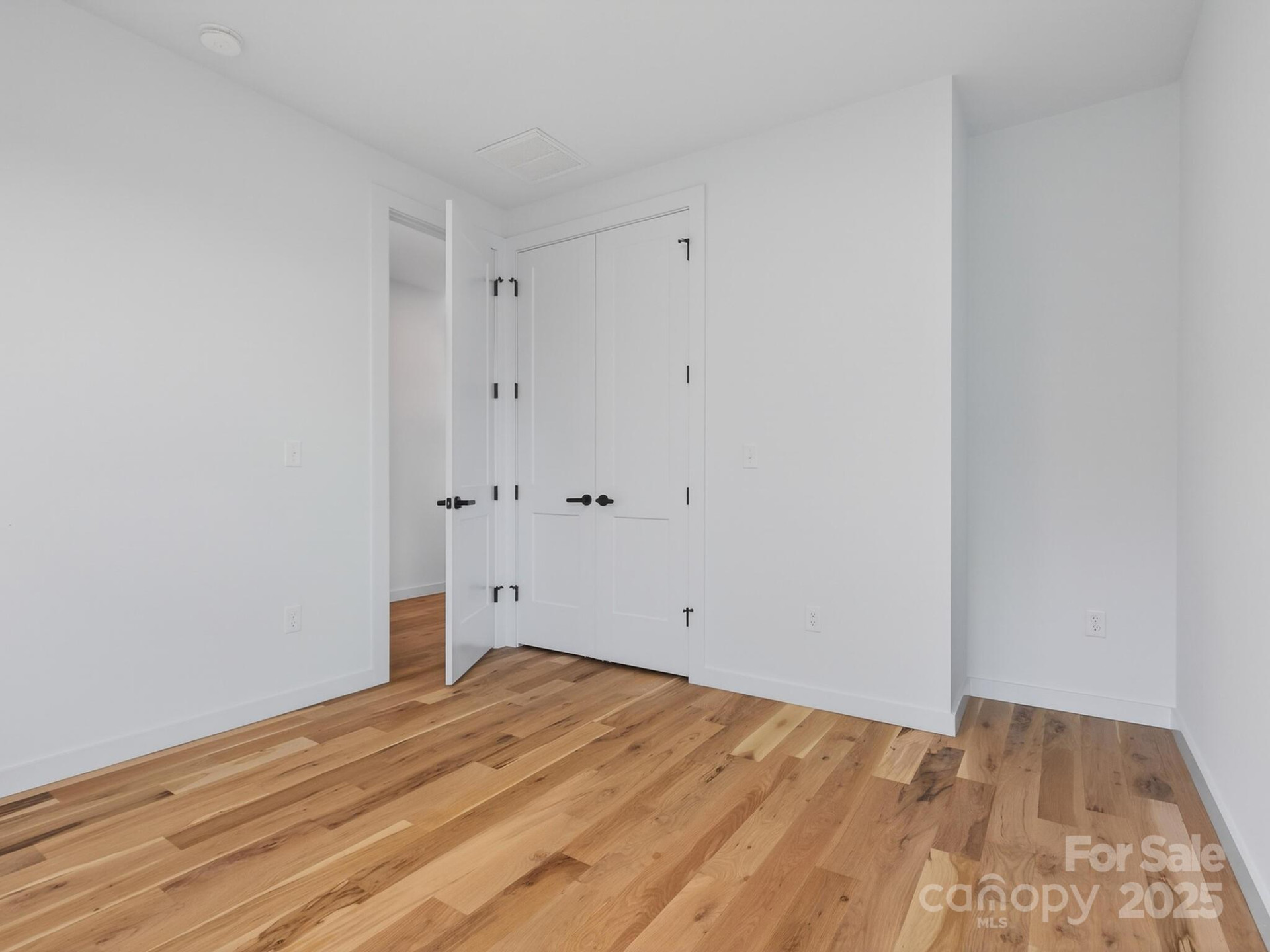 165 Abundance Run #8 - Photo 40