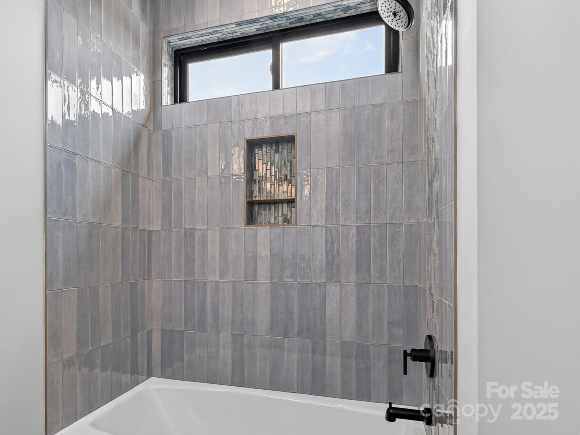 165 Abundance Run #8 - Photo 41