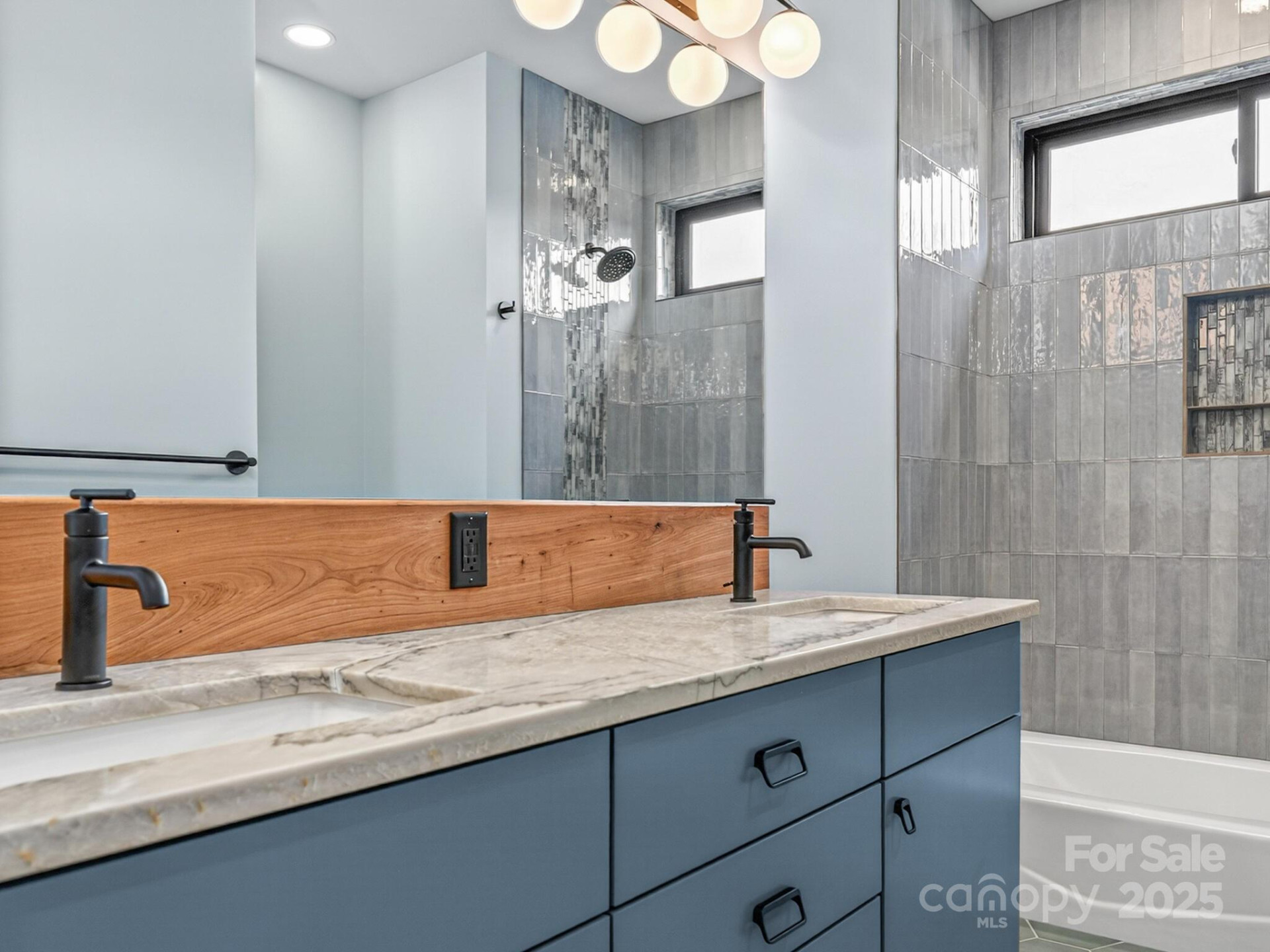 165 Abundance Run #8 - Photo 42