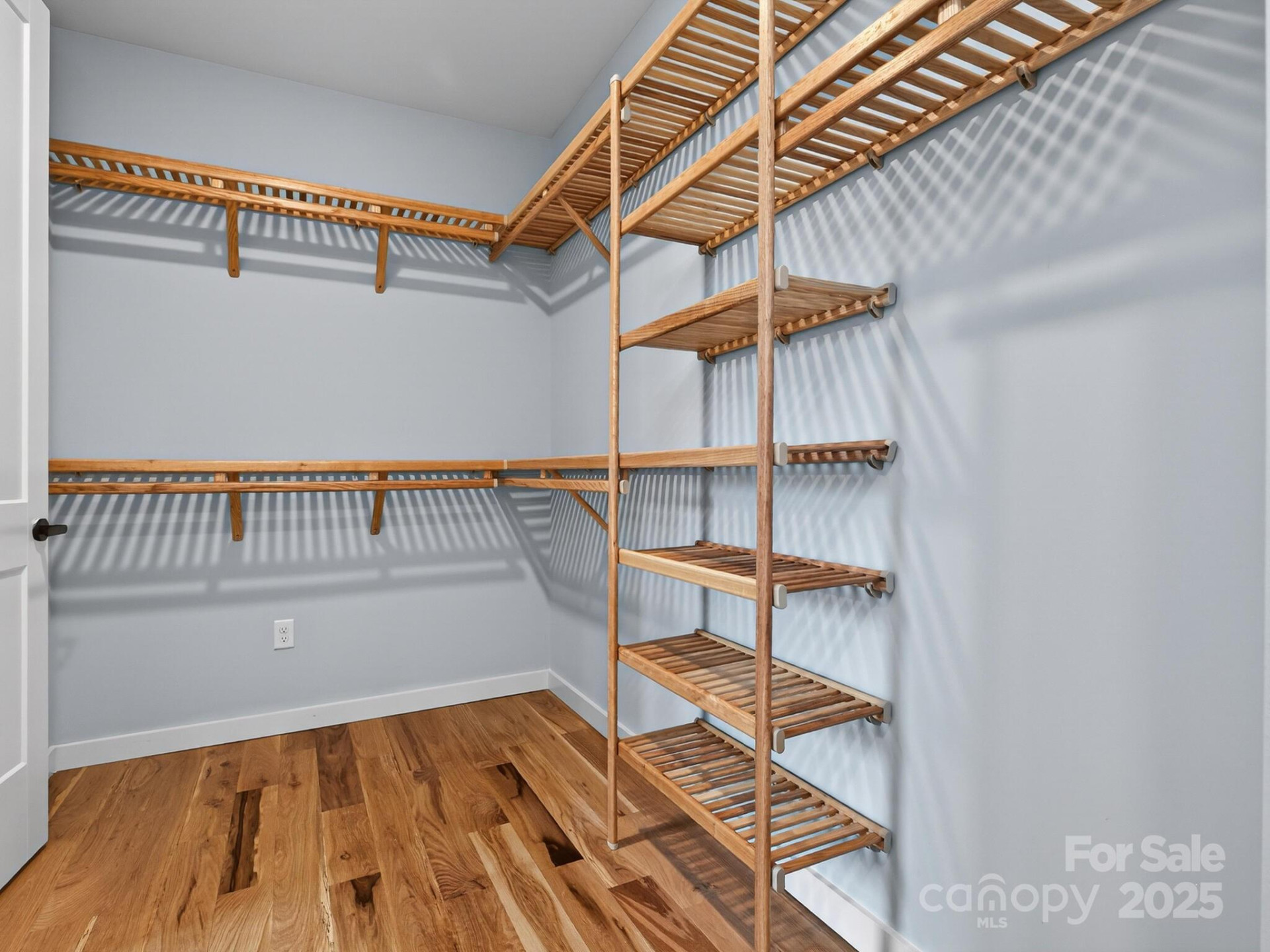 165 Abundance Run #8 - Photo 43