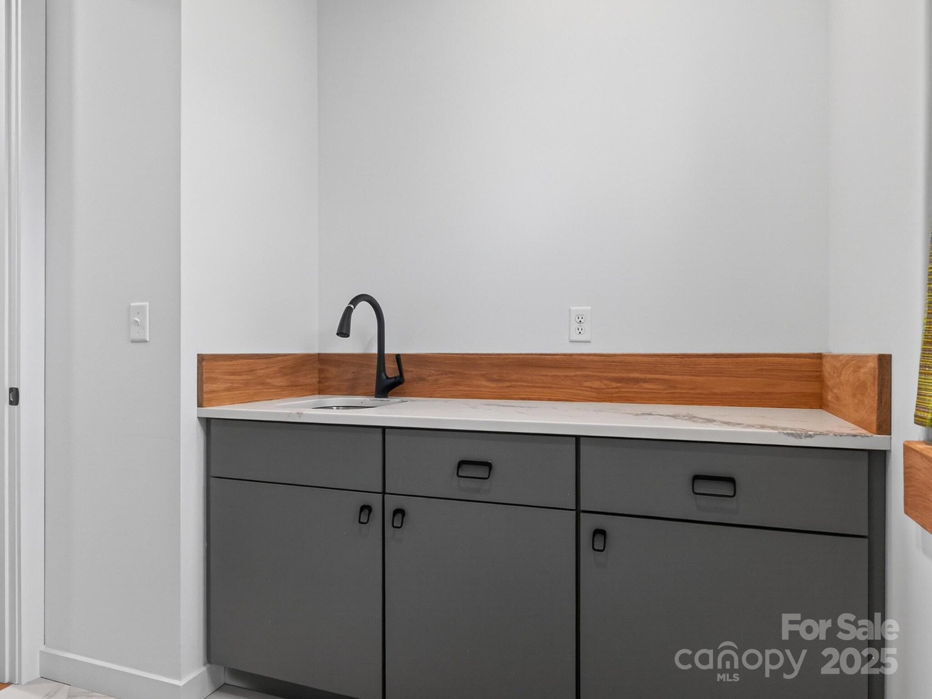 165 Abundance Run #8 - Photo 44