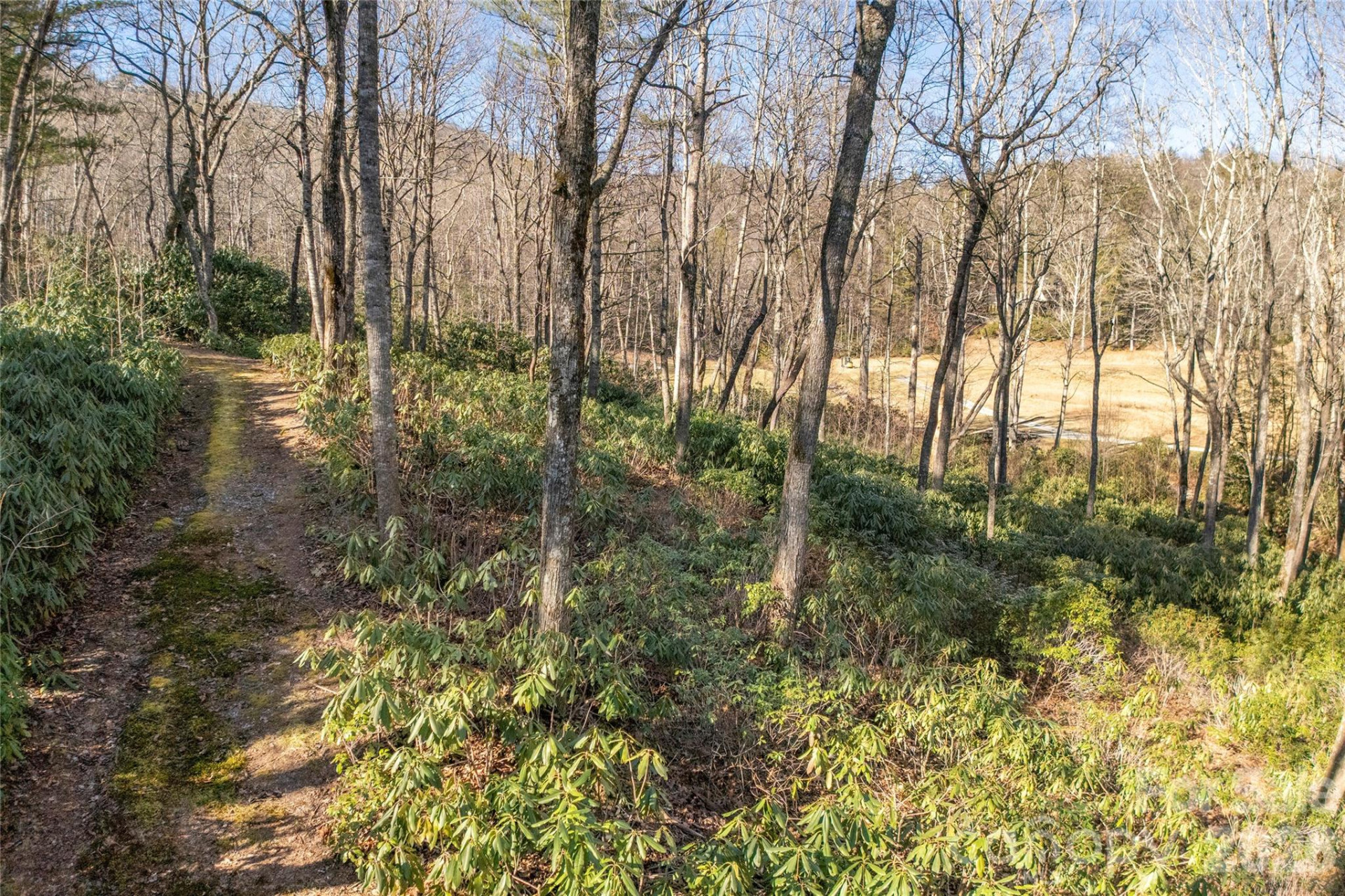 L 9A R Old Mine Point - Photo 11