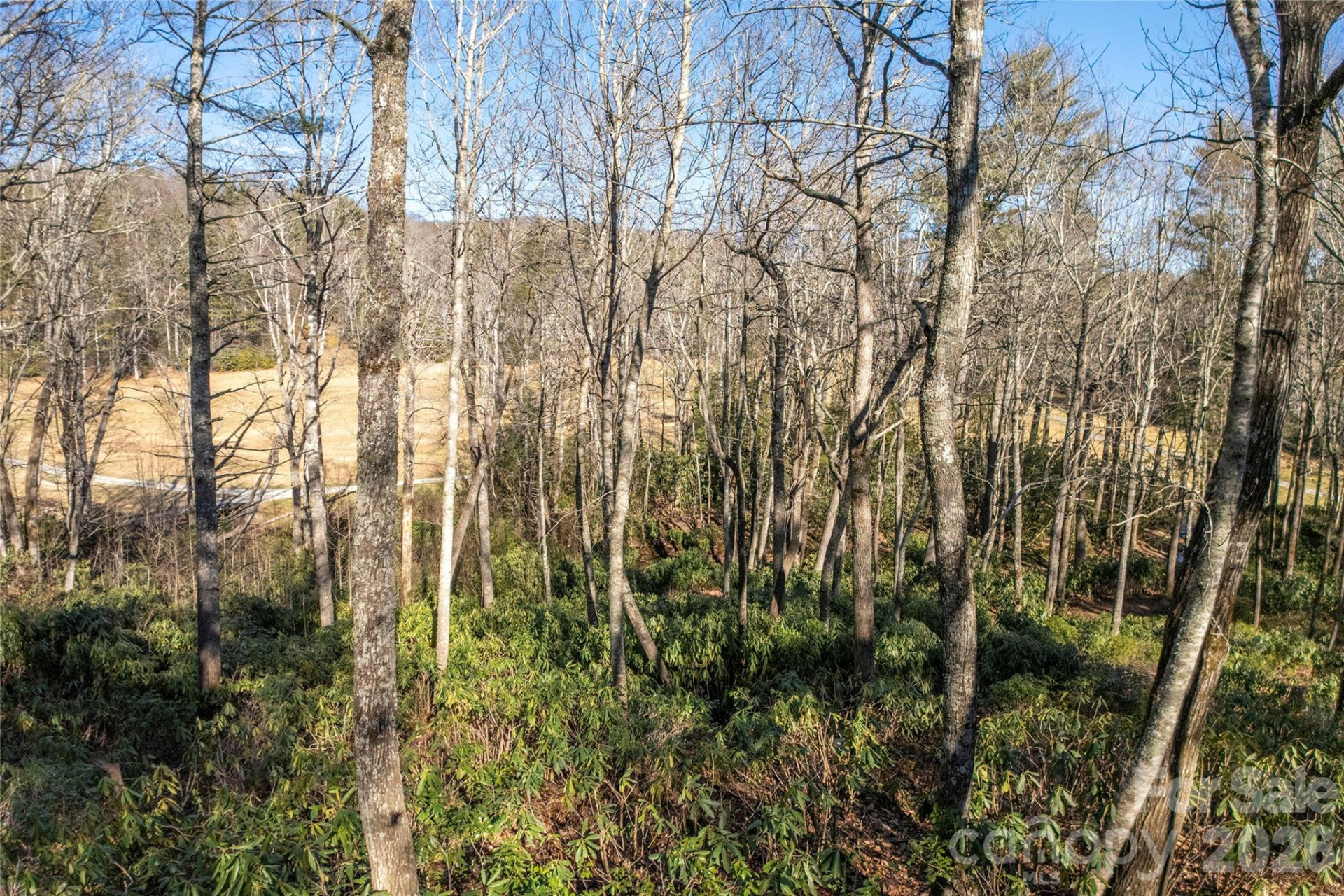 L 9A R Old Mine Point - Photo 15