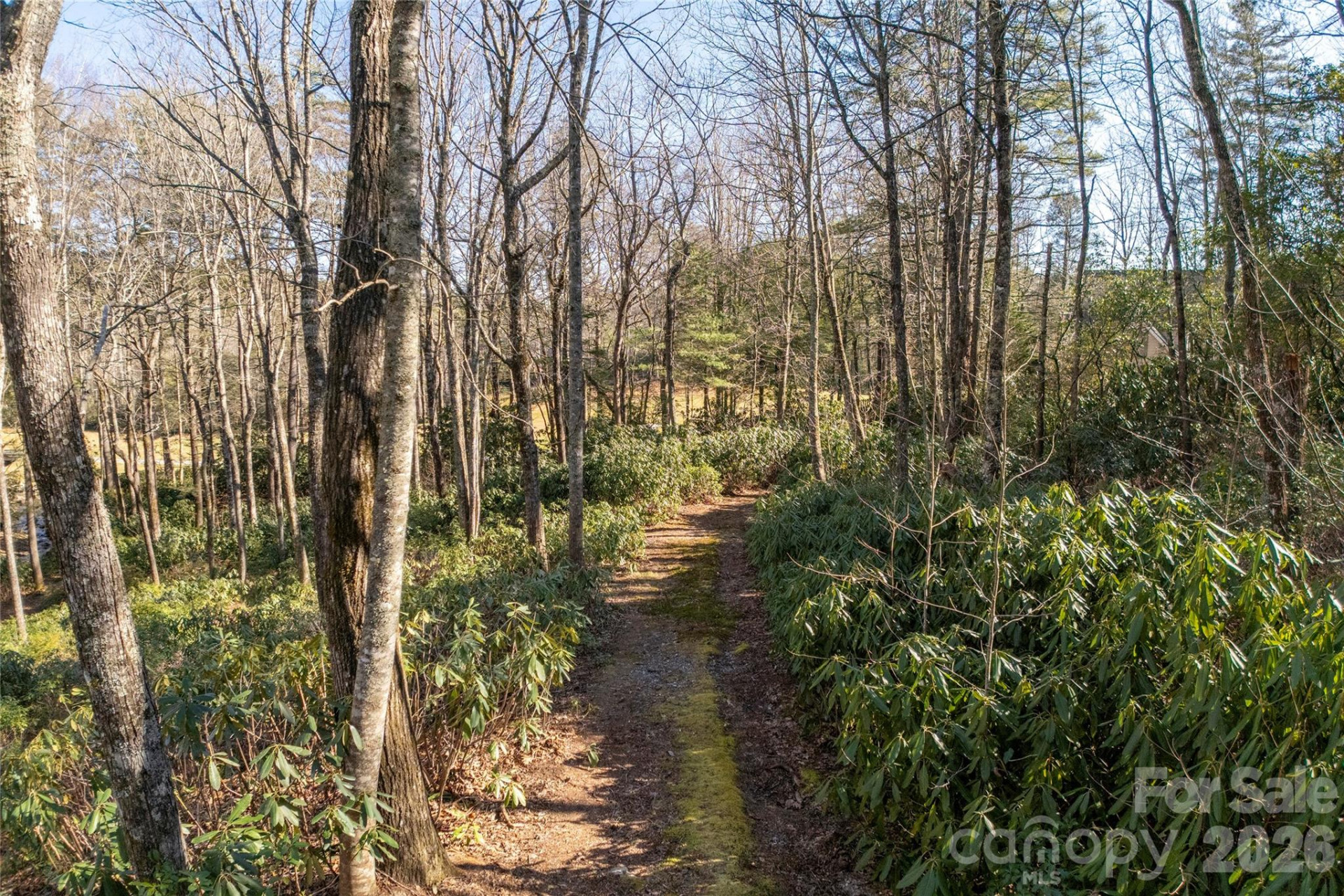 L 9A R Old Mine Point - Photo 16