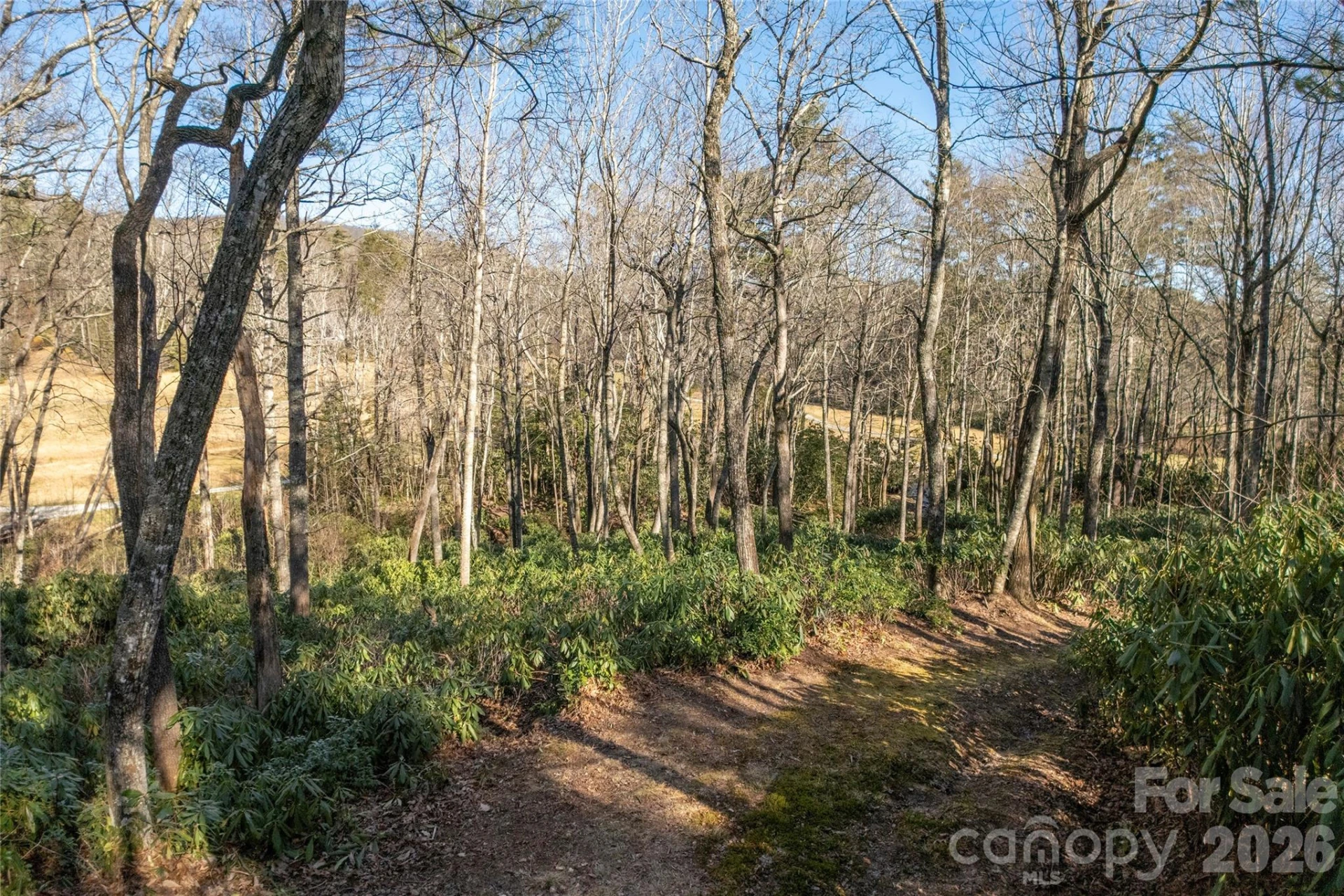 L 9A R Old Mine Point - Photo 18