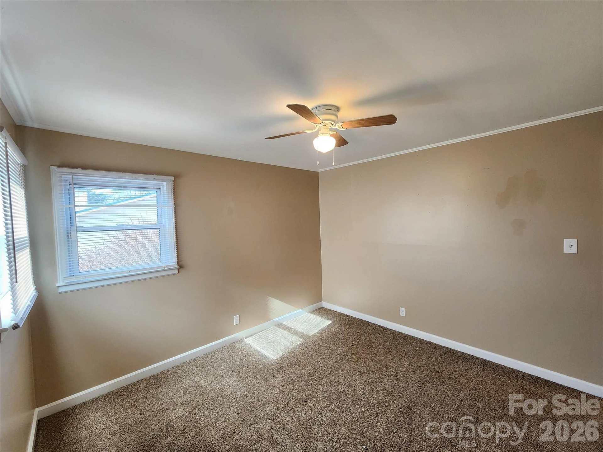 31 Stanley Street - Photo 14