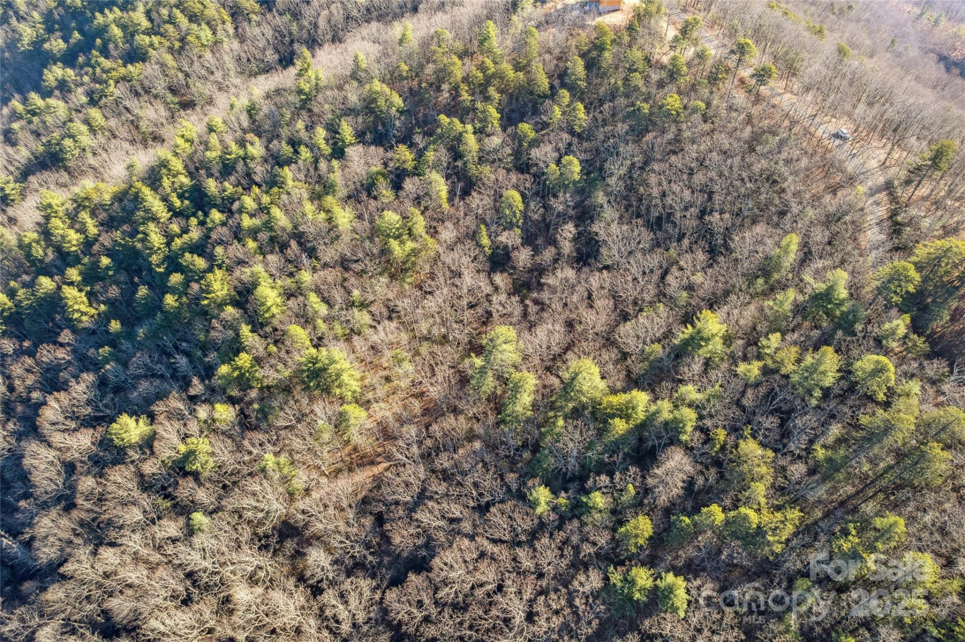 5241 pine ridge Drive - Photo 11