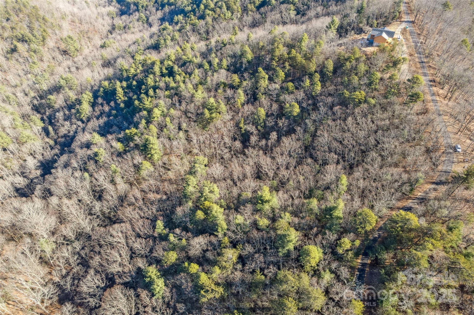 5241 pine ridge Drive - Photo 12