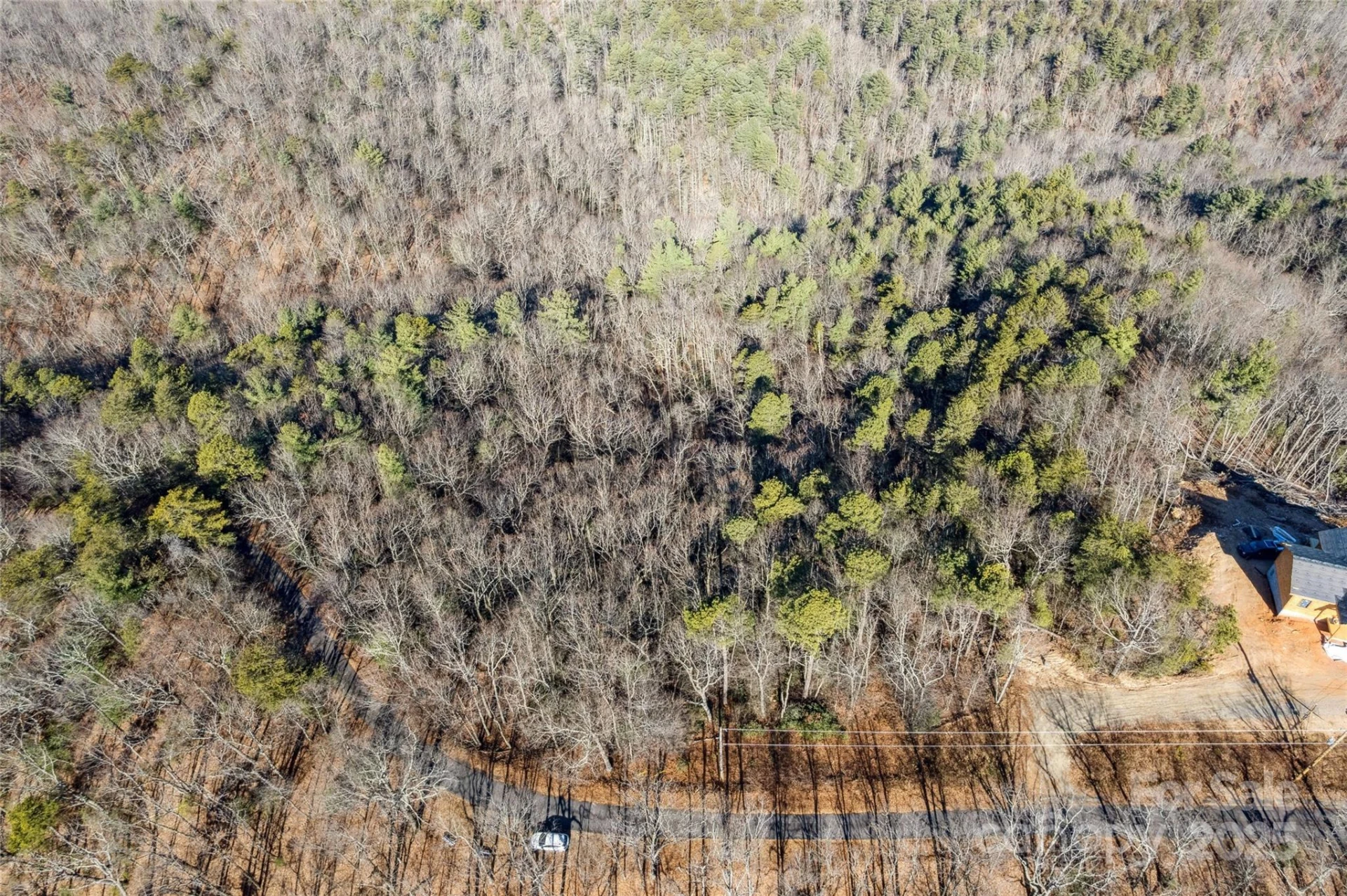 5241 pine ridge Drive - Photo 3