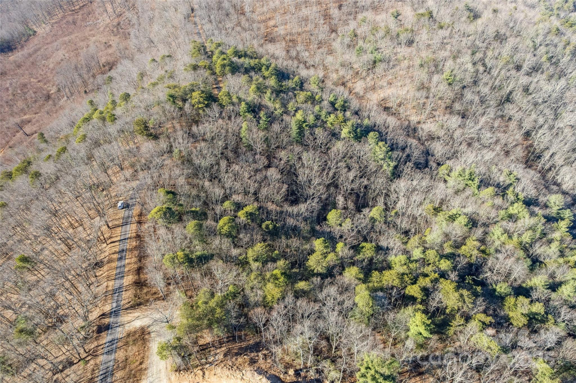 5241 pine ridge Drive - Photo 4