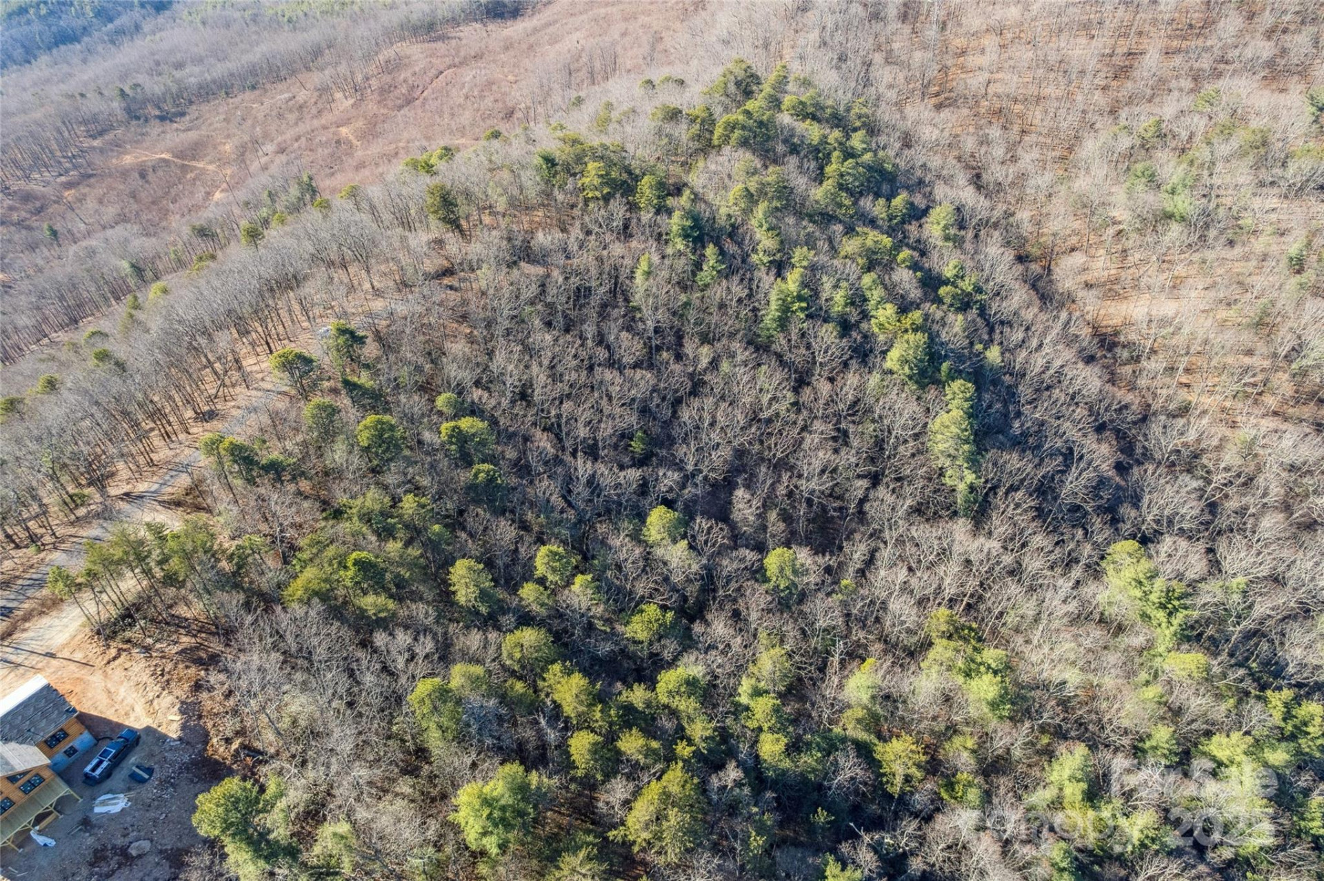 5241 pine ridge Drive - Photo 6