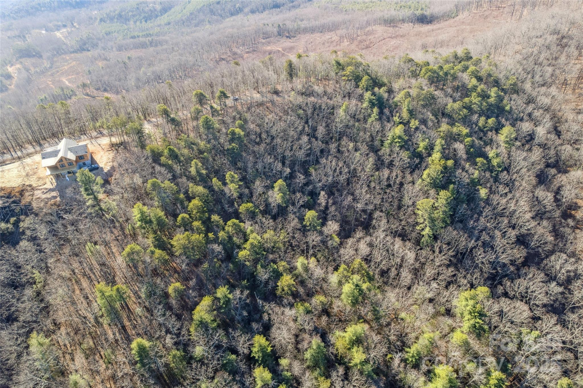 5241 pine ridge Drive - Photo 7