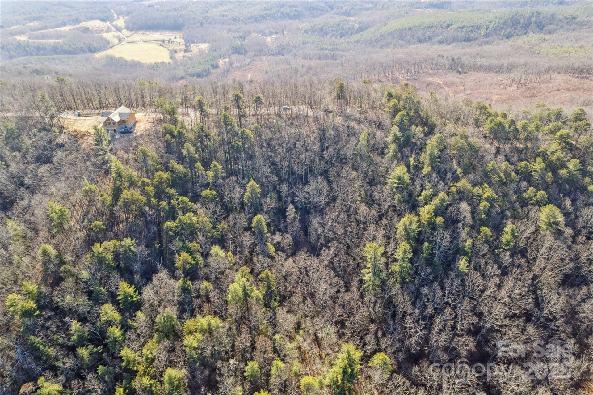 5241 pine ridge Drive - Photo 8