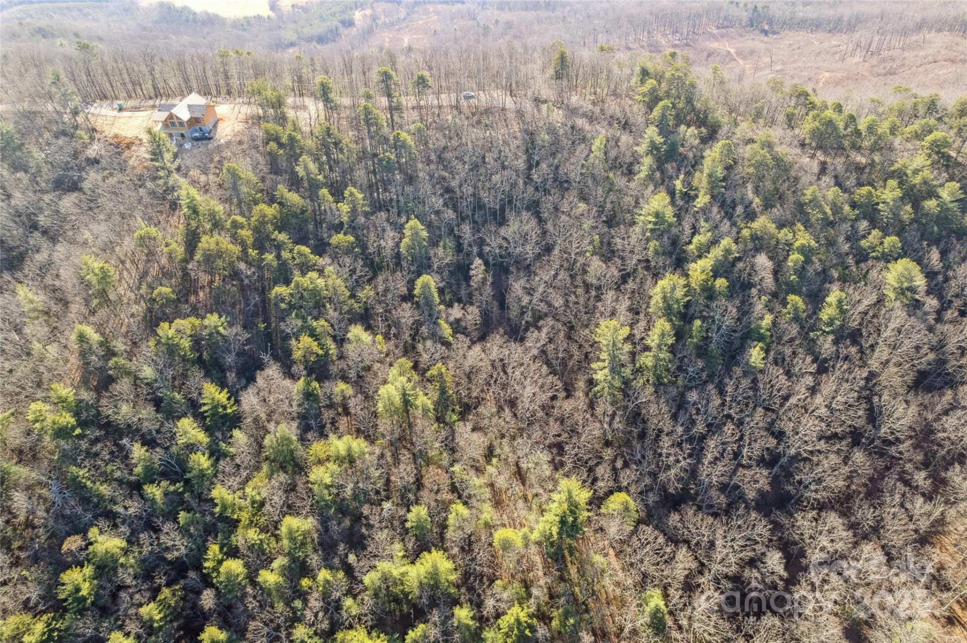 5241 pine ridge Drive - Photo 9