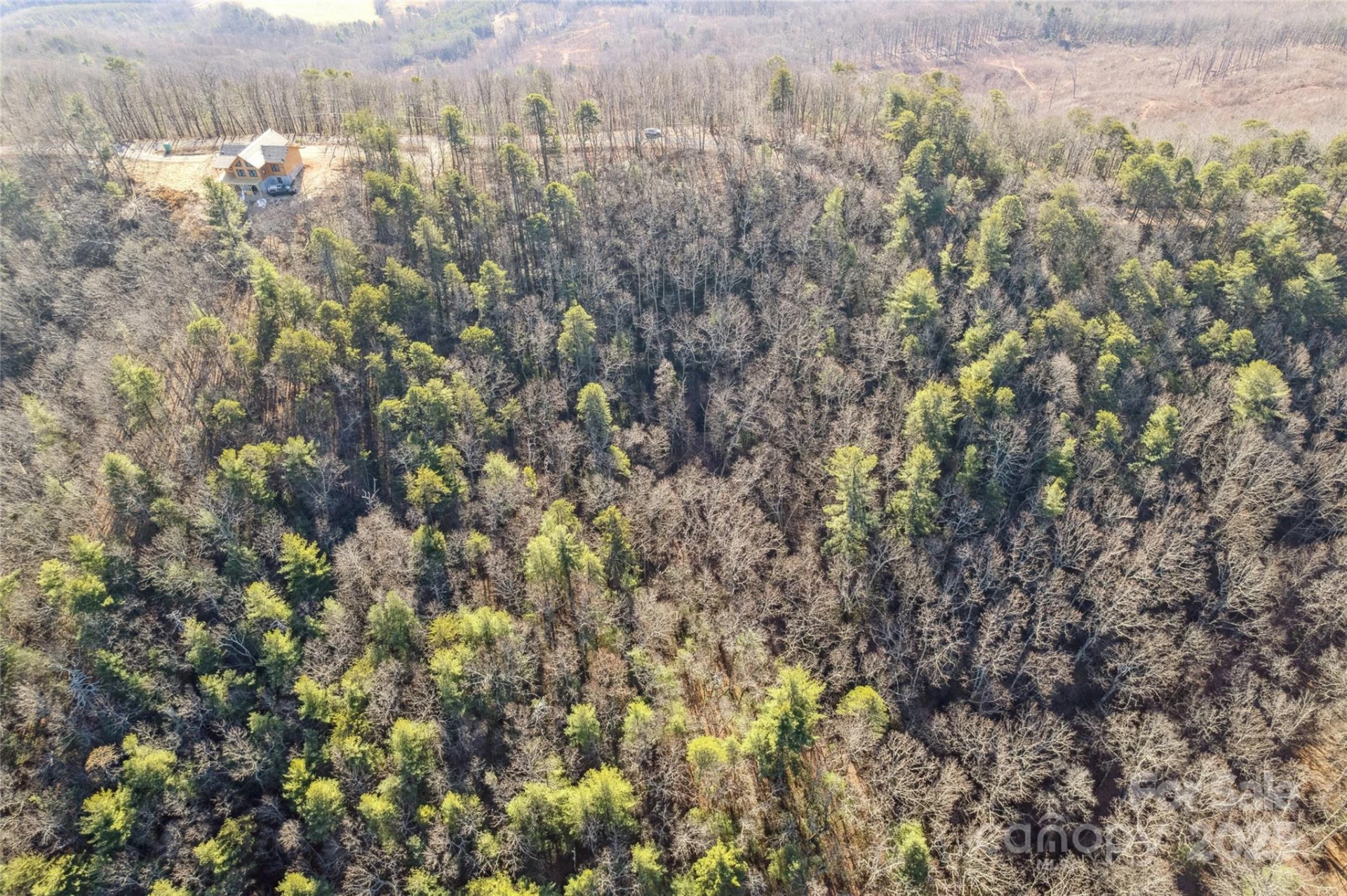 5241 pine ridge Drive - Photo 9