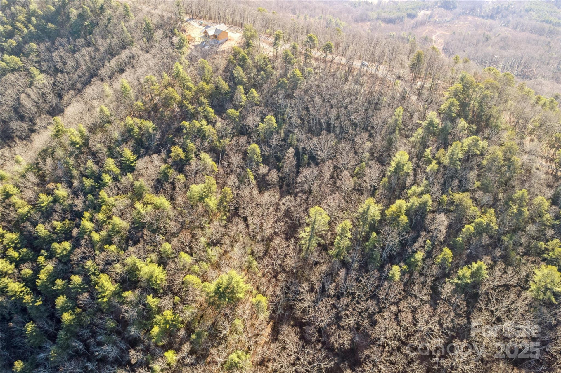 5241 pine ridge Drive - Photo 10