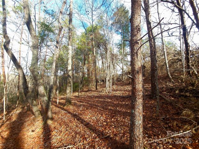 000 Skylark Lane, Tryon, NC, 28782