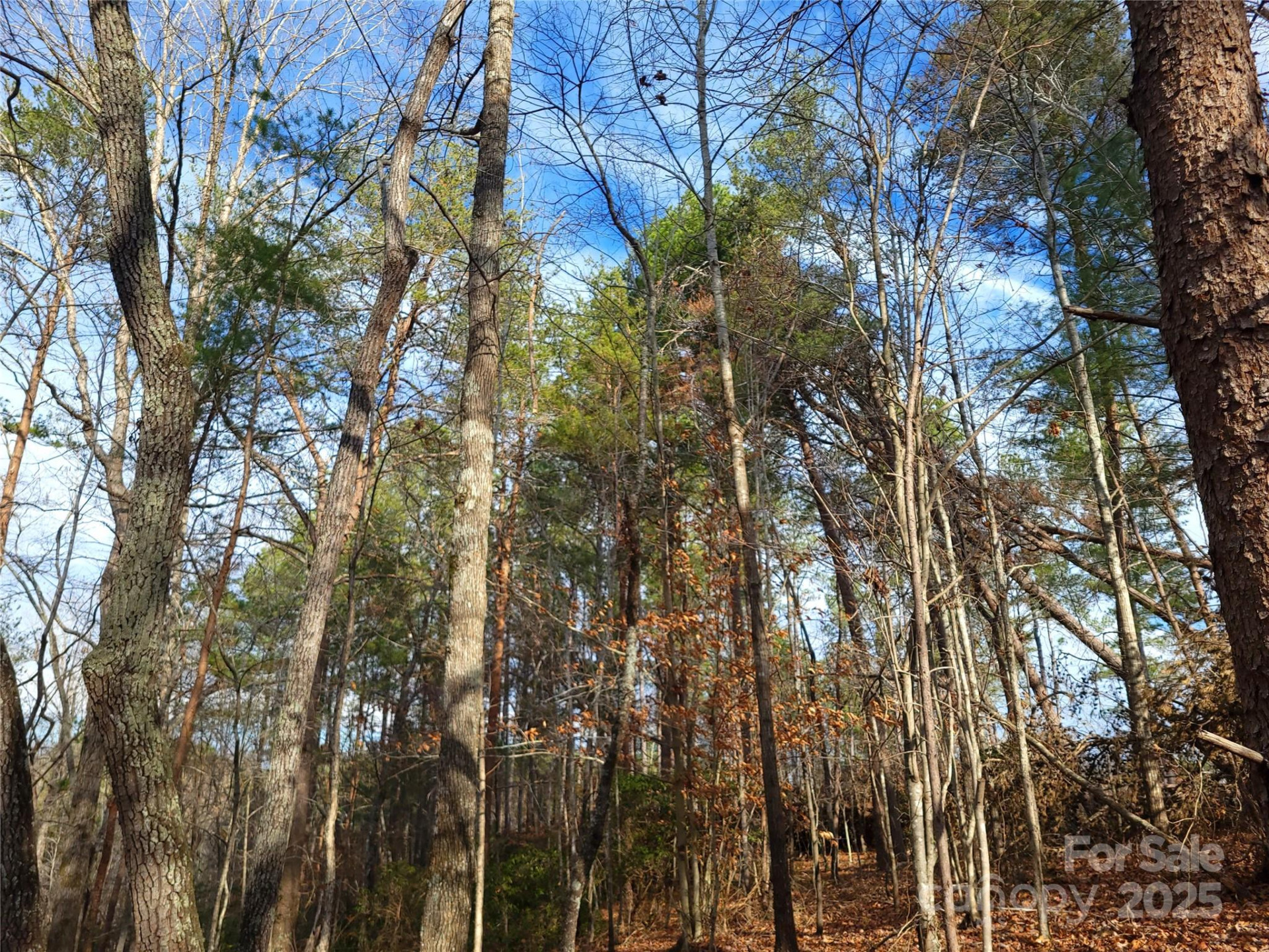 000 Skylark Lane #8 - Photo 2