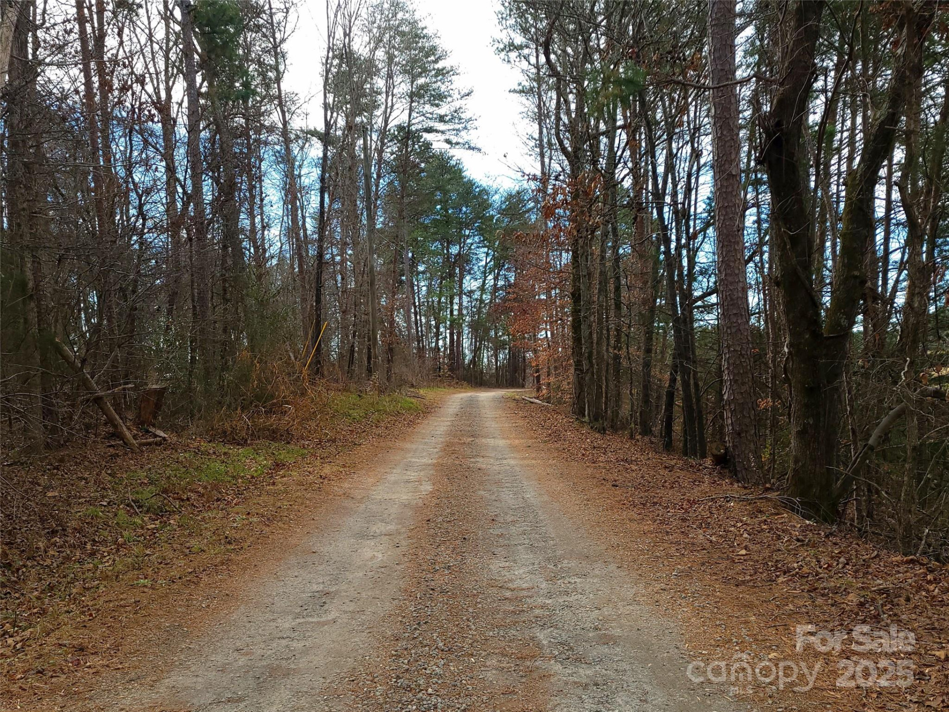 000 Skylark Lane #8 - Photo 11