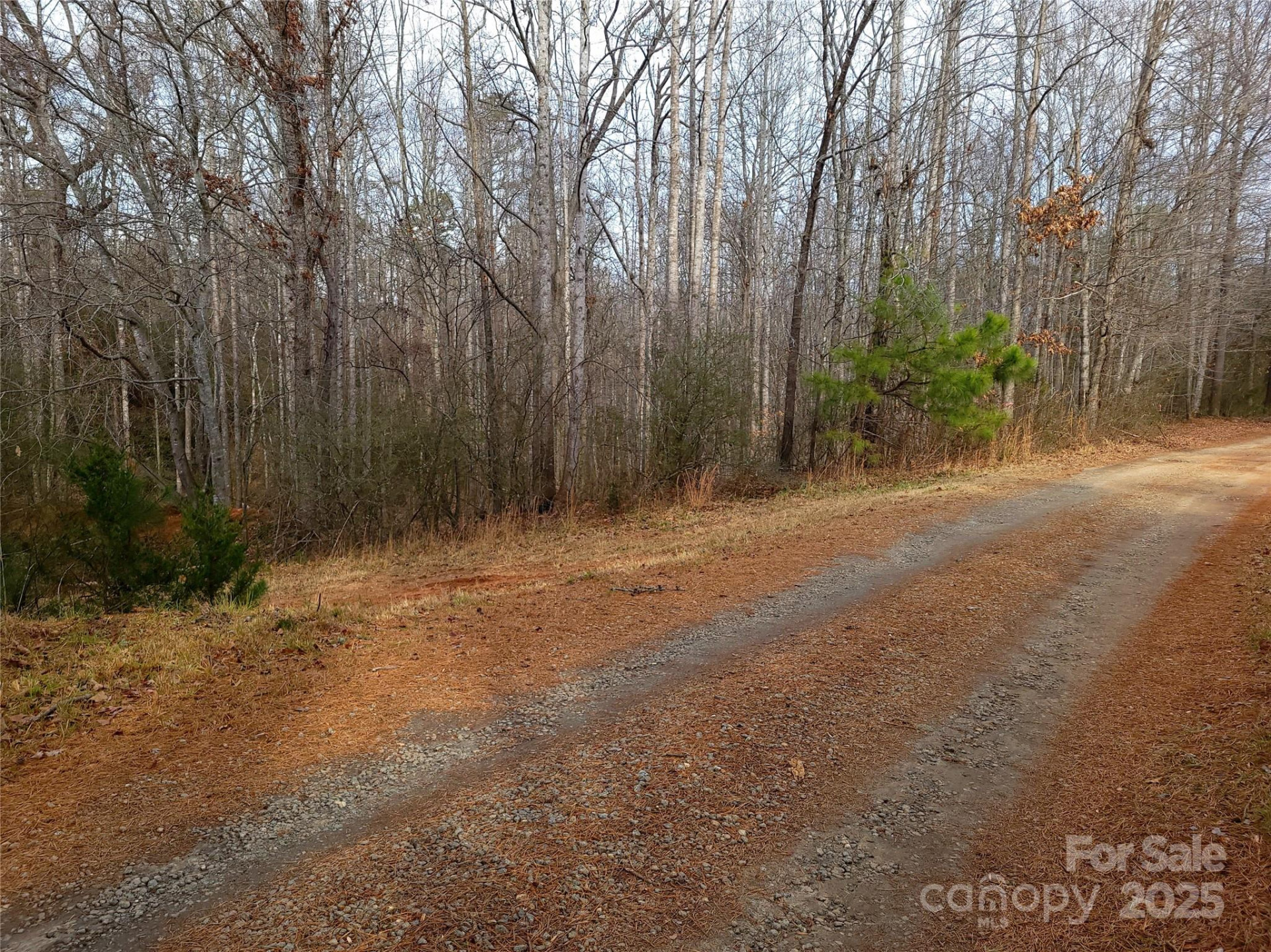 000 Skylark Lane #8 - Photo 12