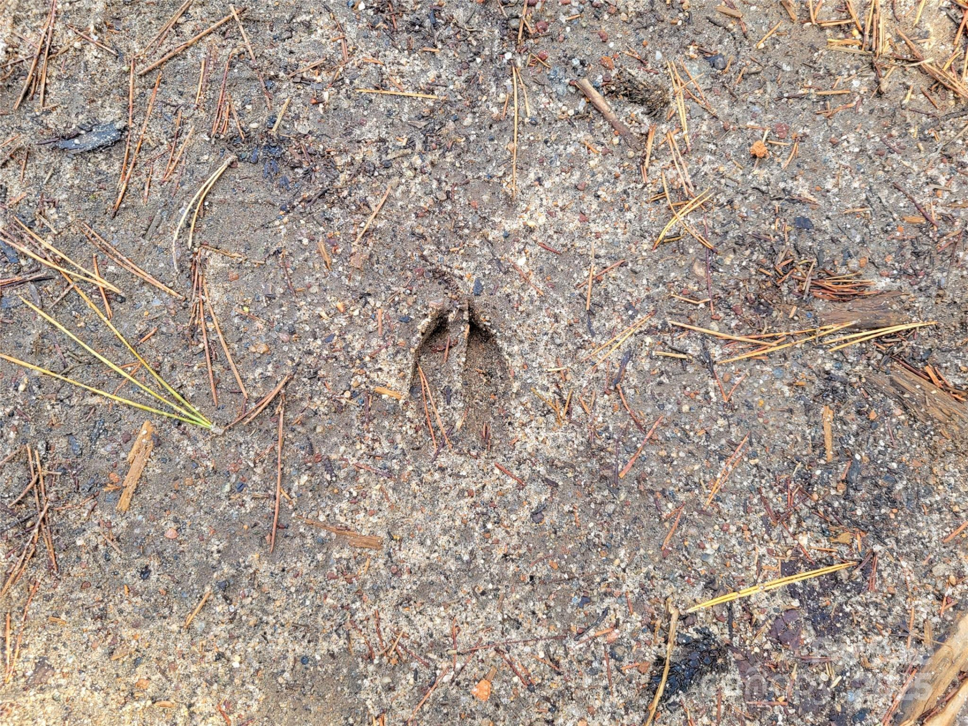 000 Skylark Lane #8 - Photo 15