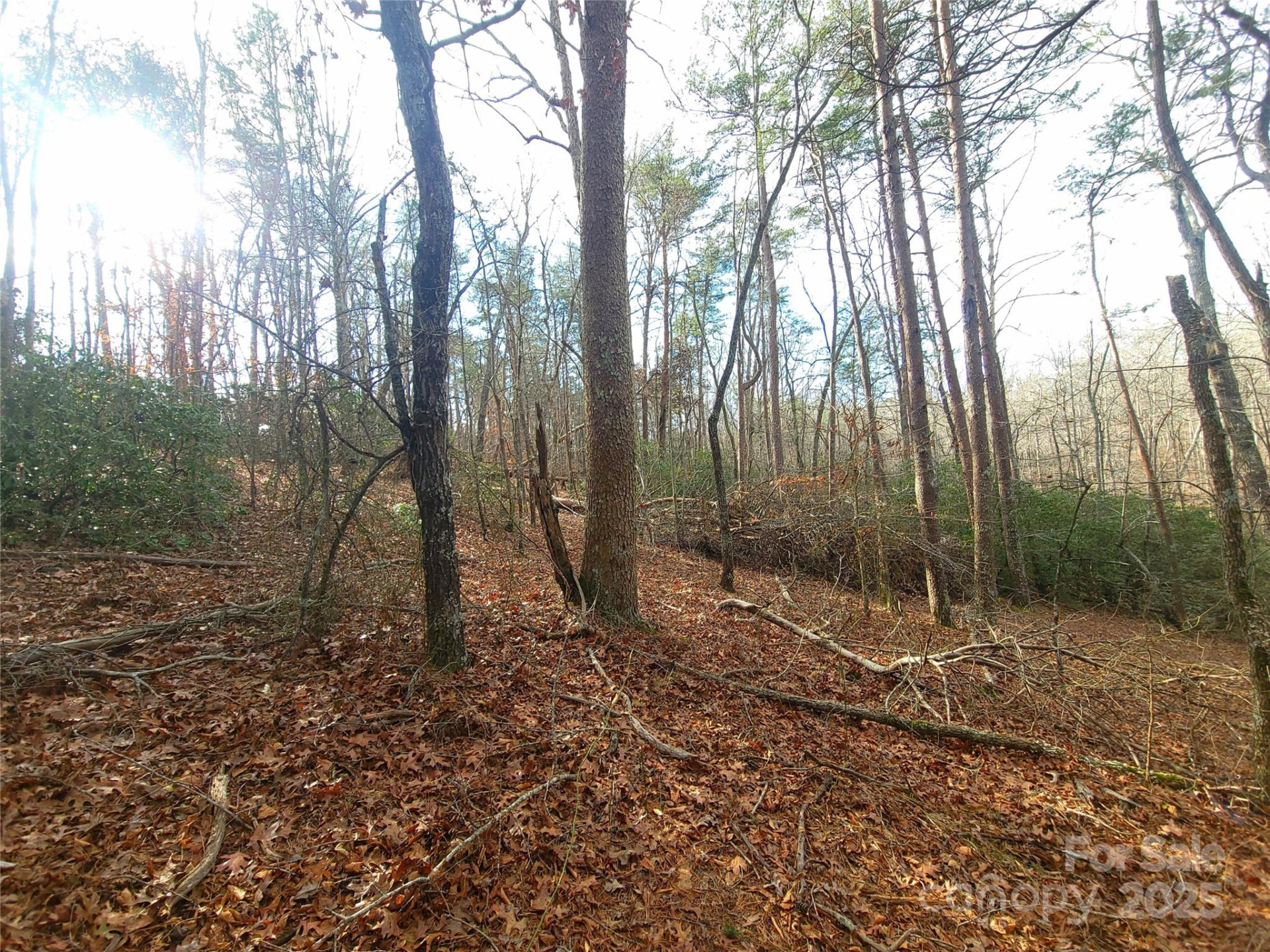 000 Skylark Lane #8 - Photo 3